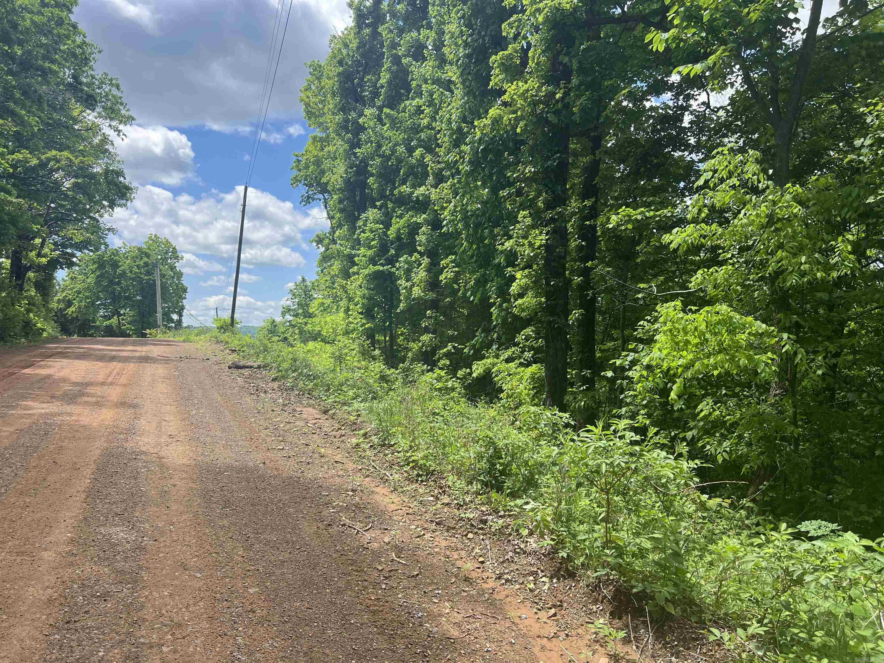 TBD  Lick Fork Rd  Witt Springs, AR
