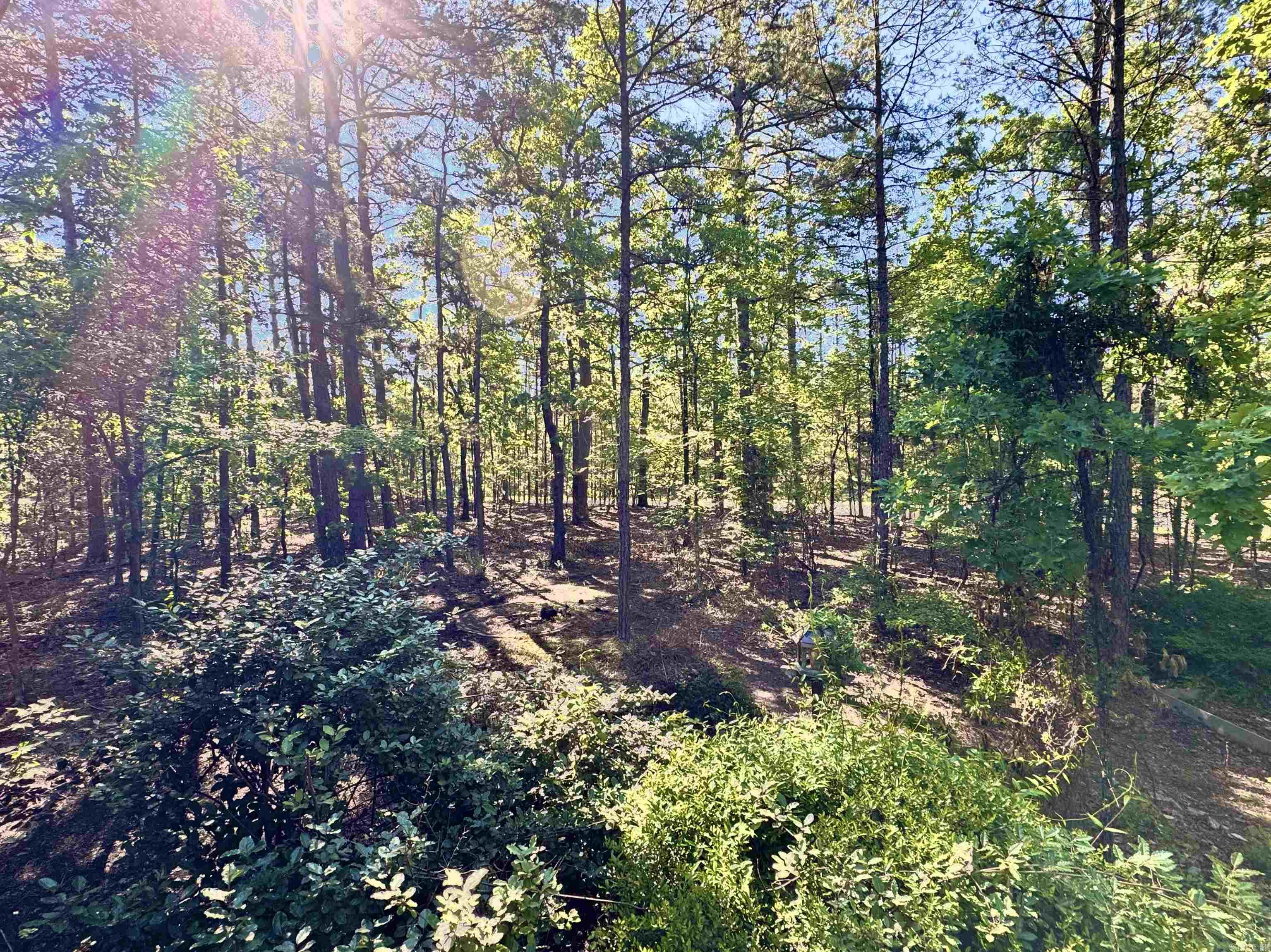 5  Caceres  Hot Springs Village, AR