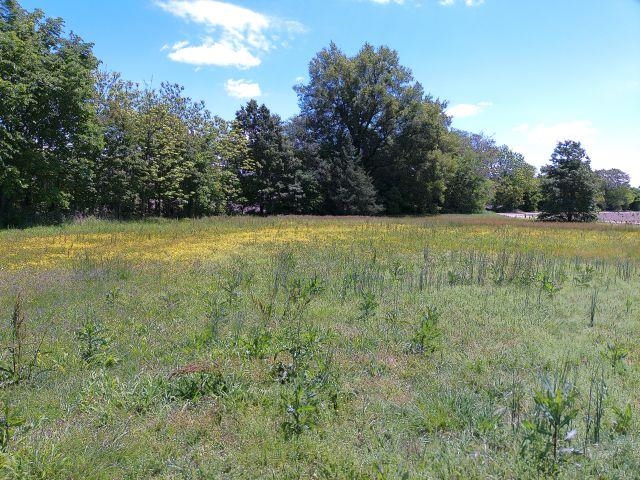 100  Dorton  Bay, AR
