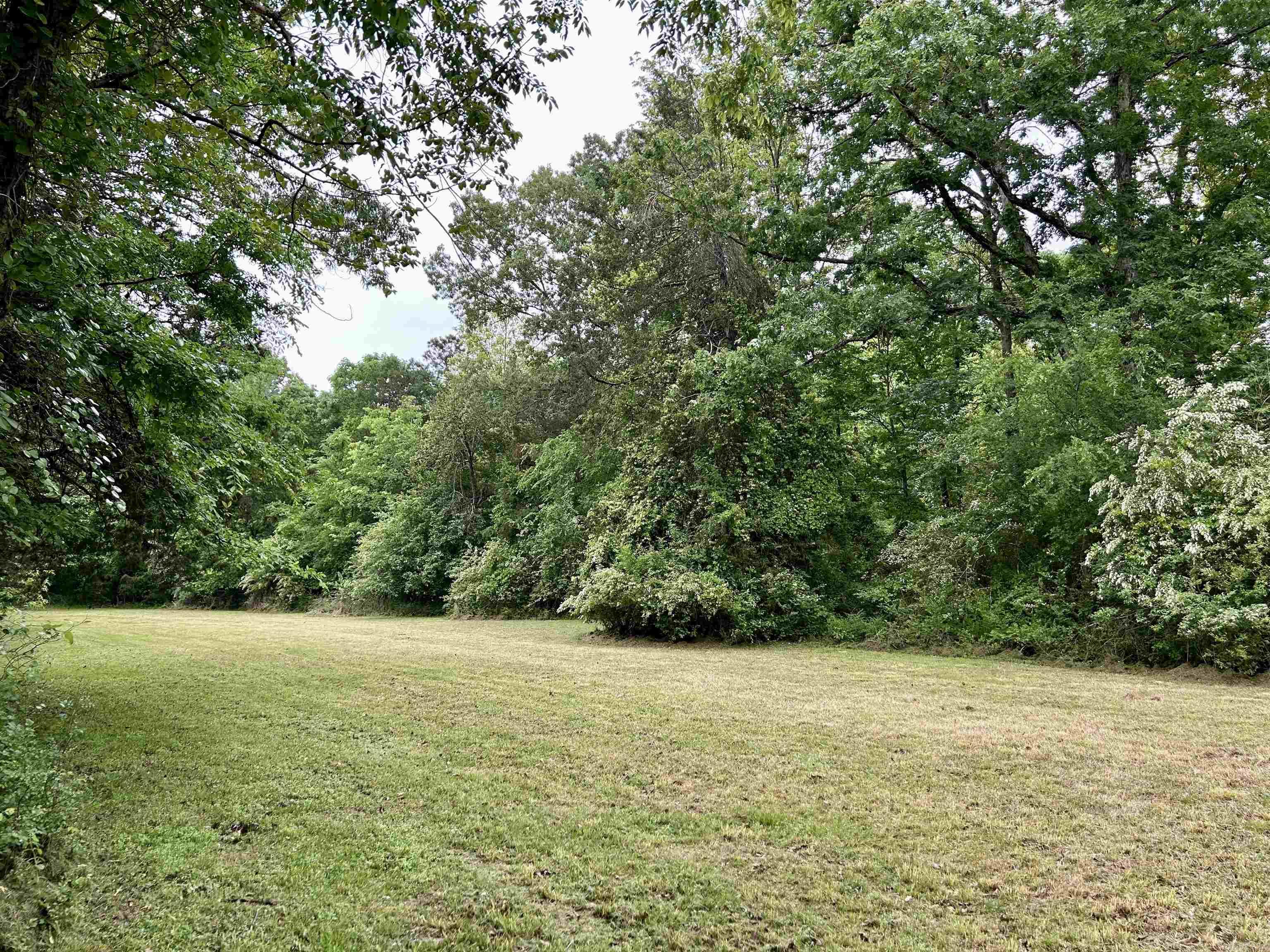 000  Summers Meadow Dr  Mountain View, AR