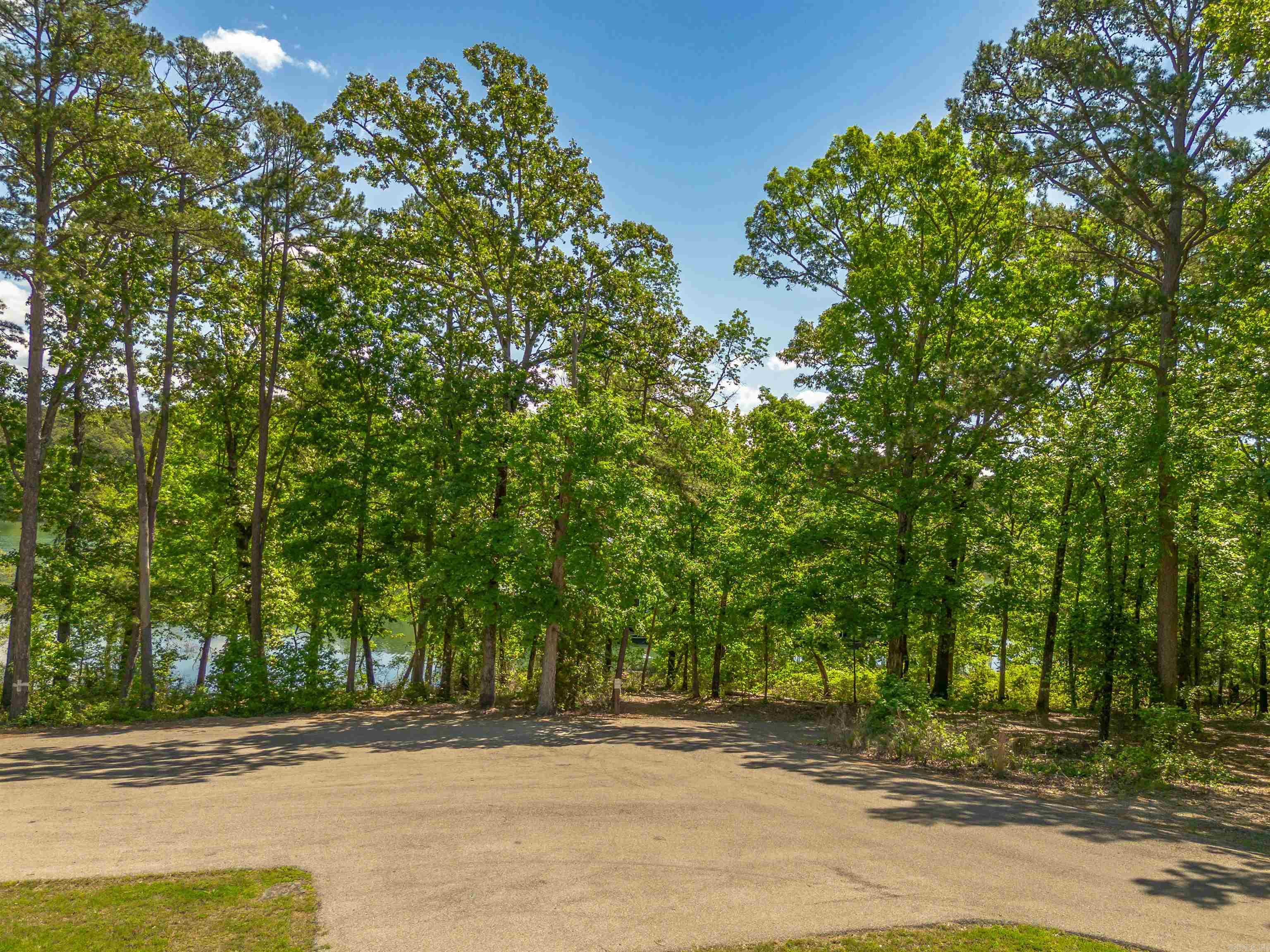 40  Silver Shores  Drasco, AR