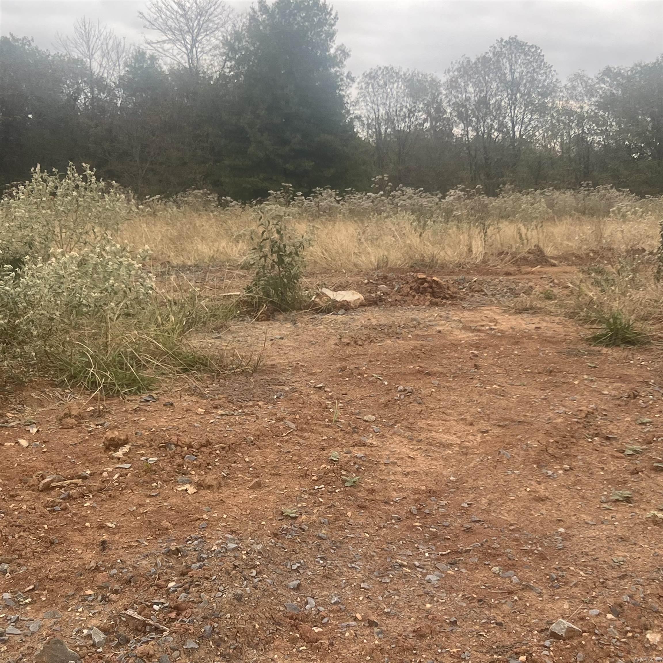 523  Corondelet Lane  Maumelle, AR