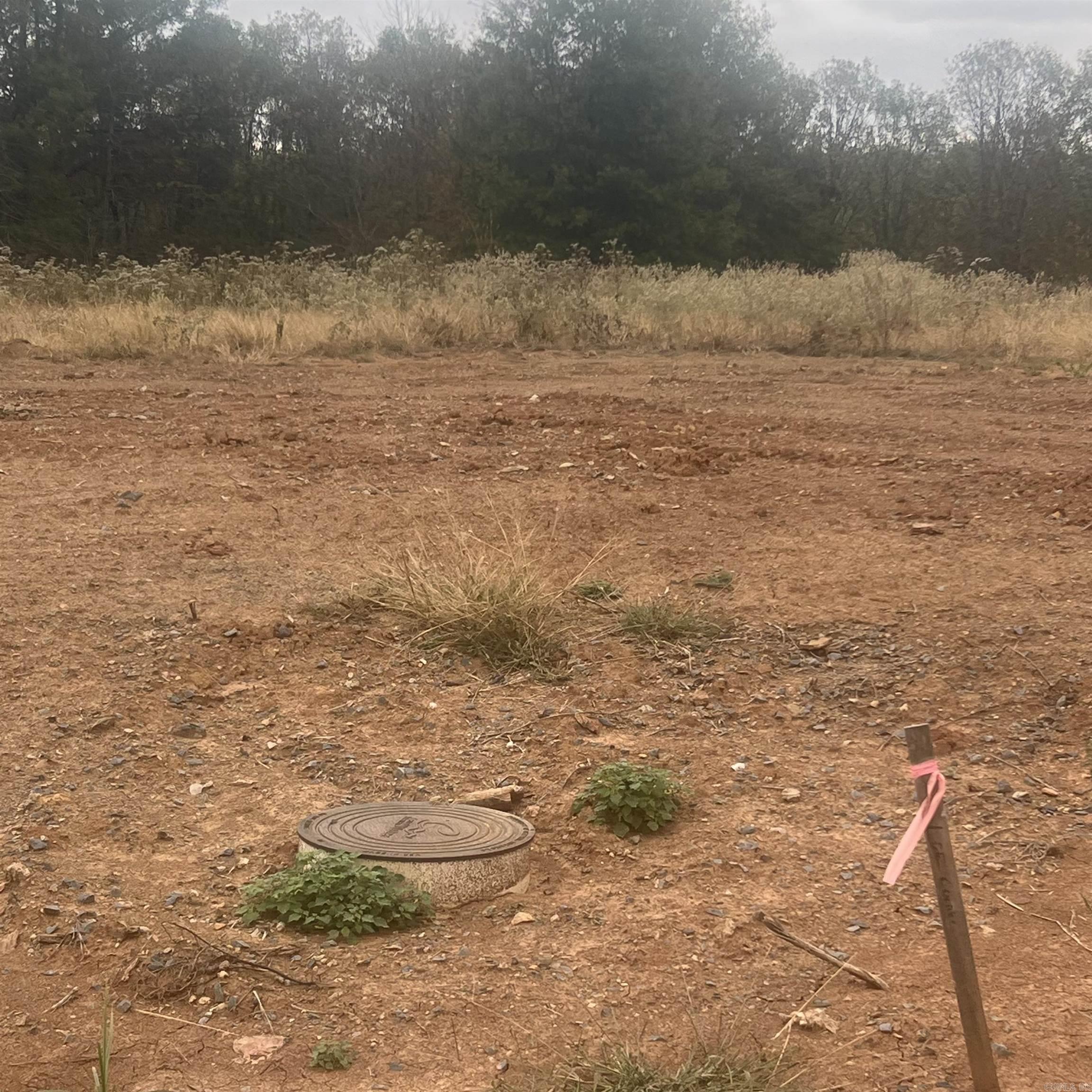 523  Corondelet Lane  Maumelle, AR