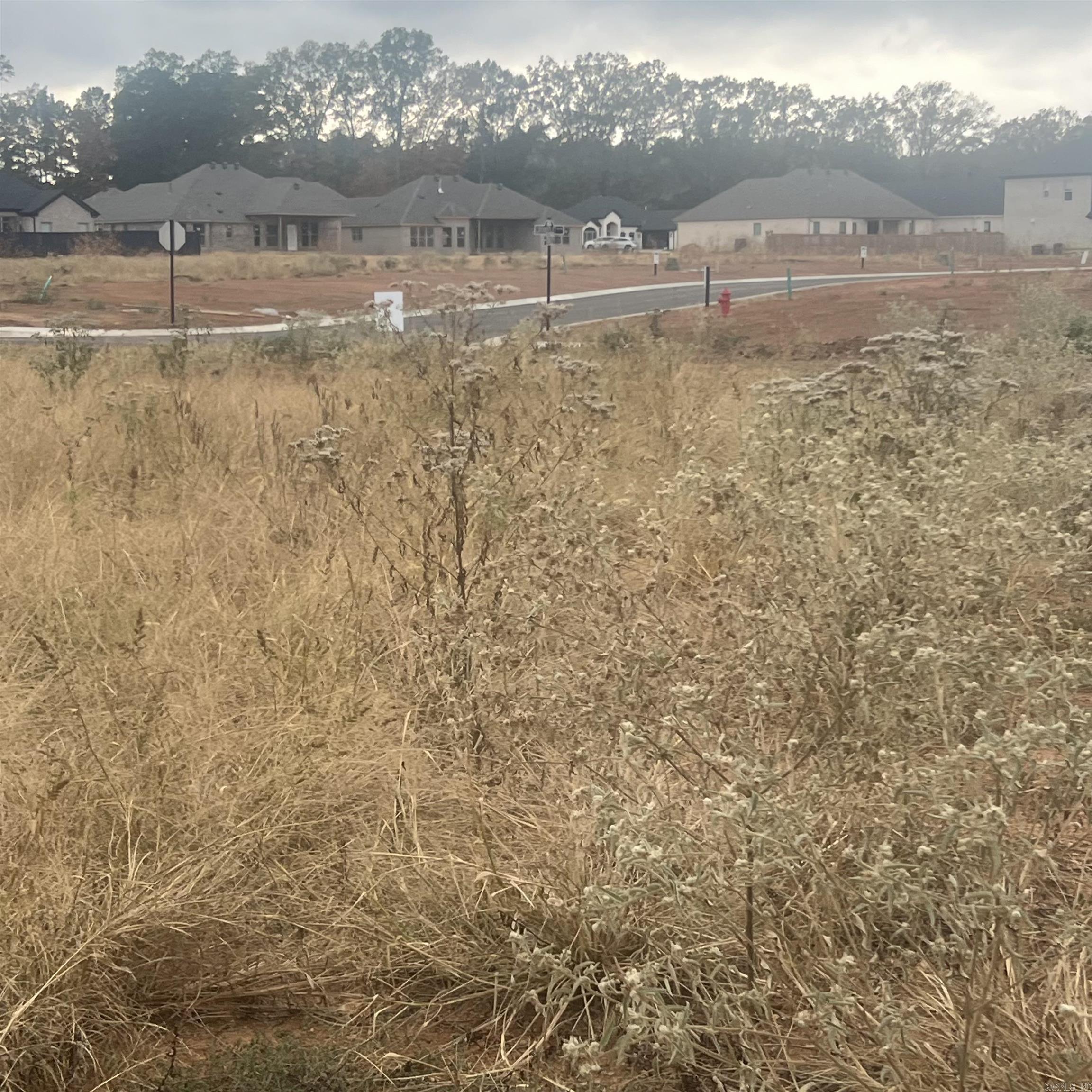 523  Corondelet Lane  Maumelle, AR