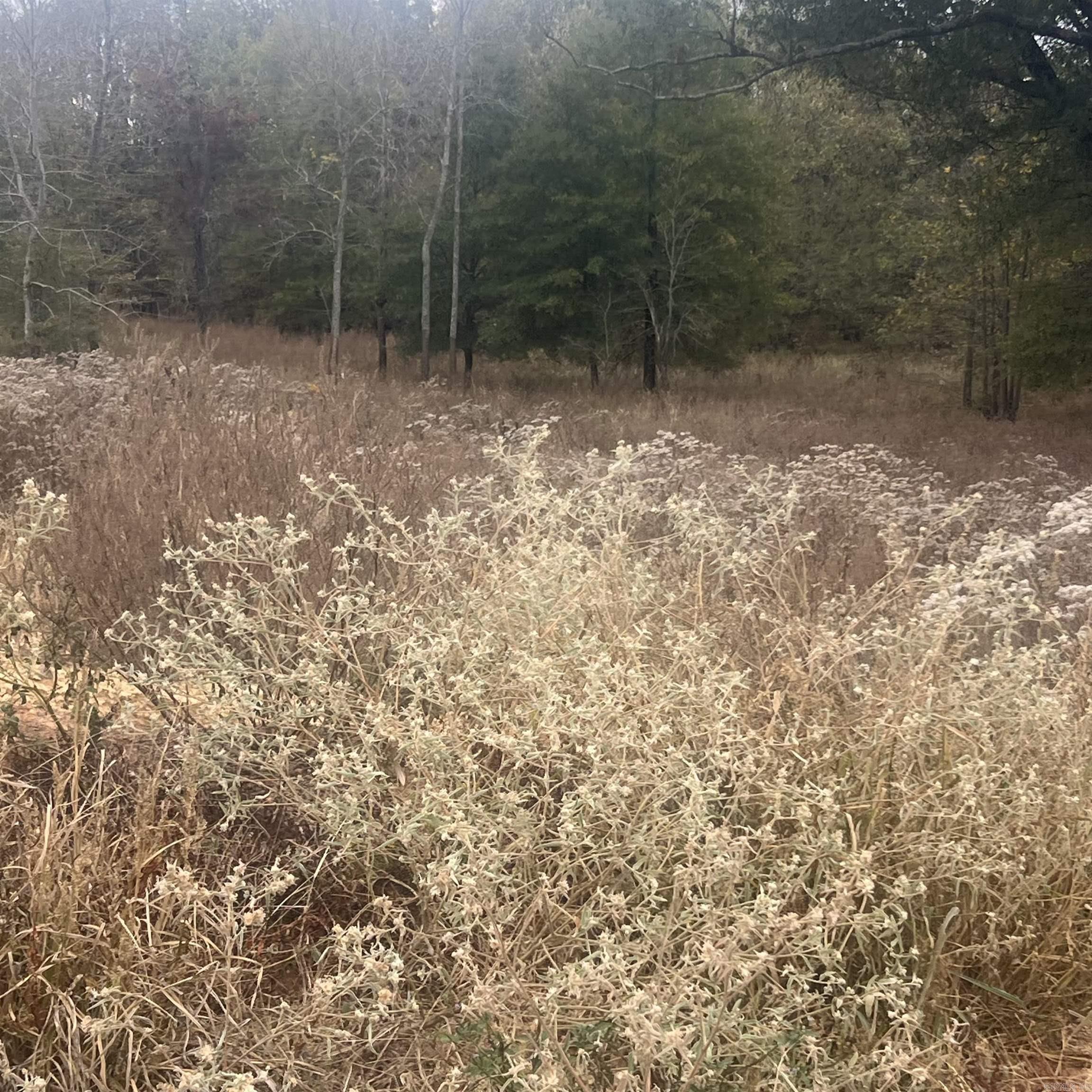 523  Corondelet Lane  Maumelle, AR