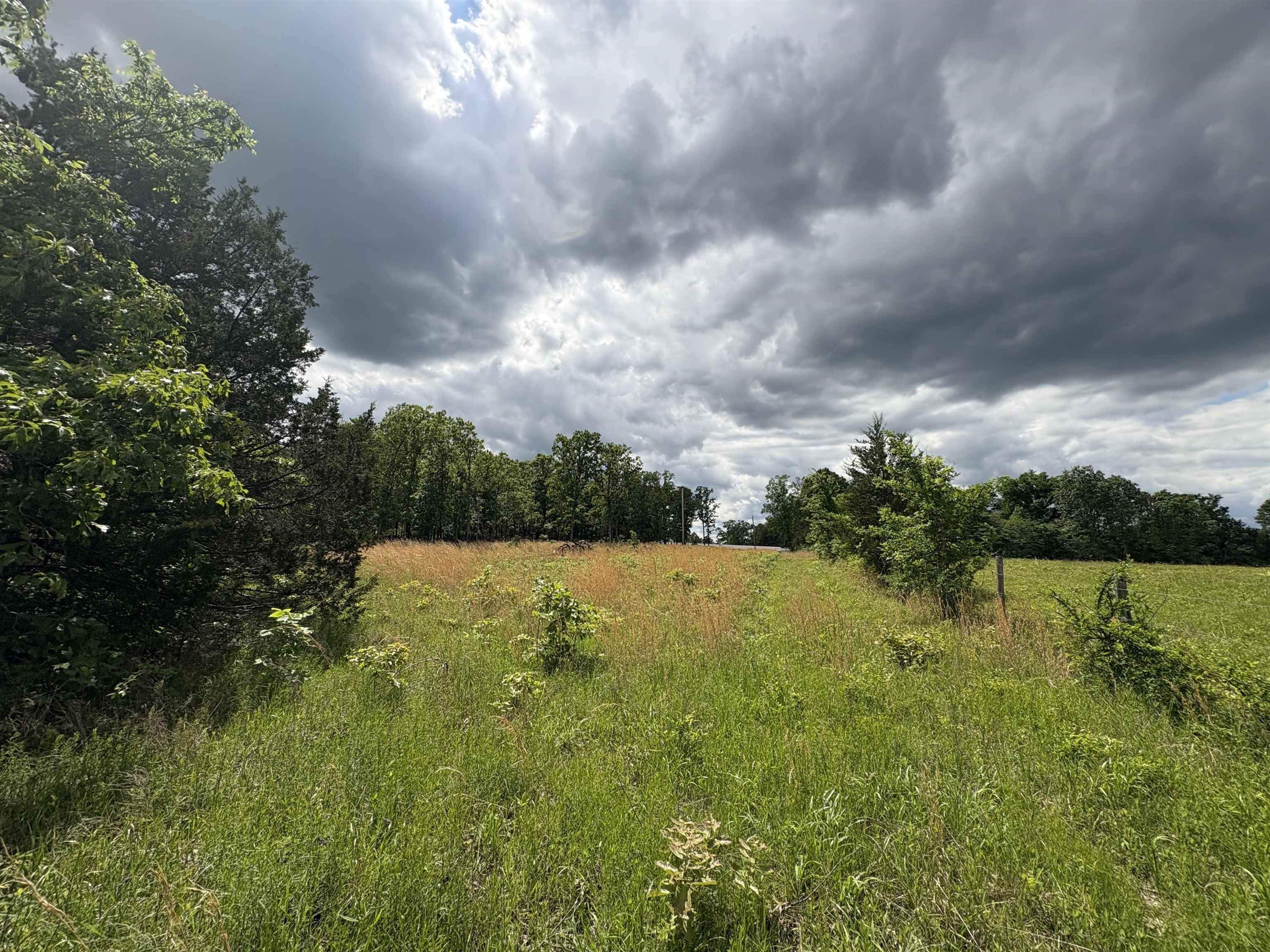 3968  HWY 167  Ash Flat, AR