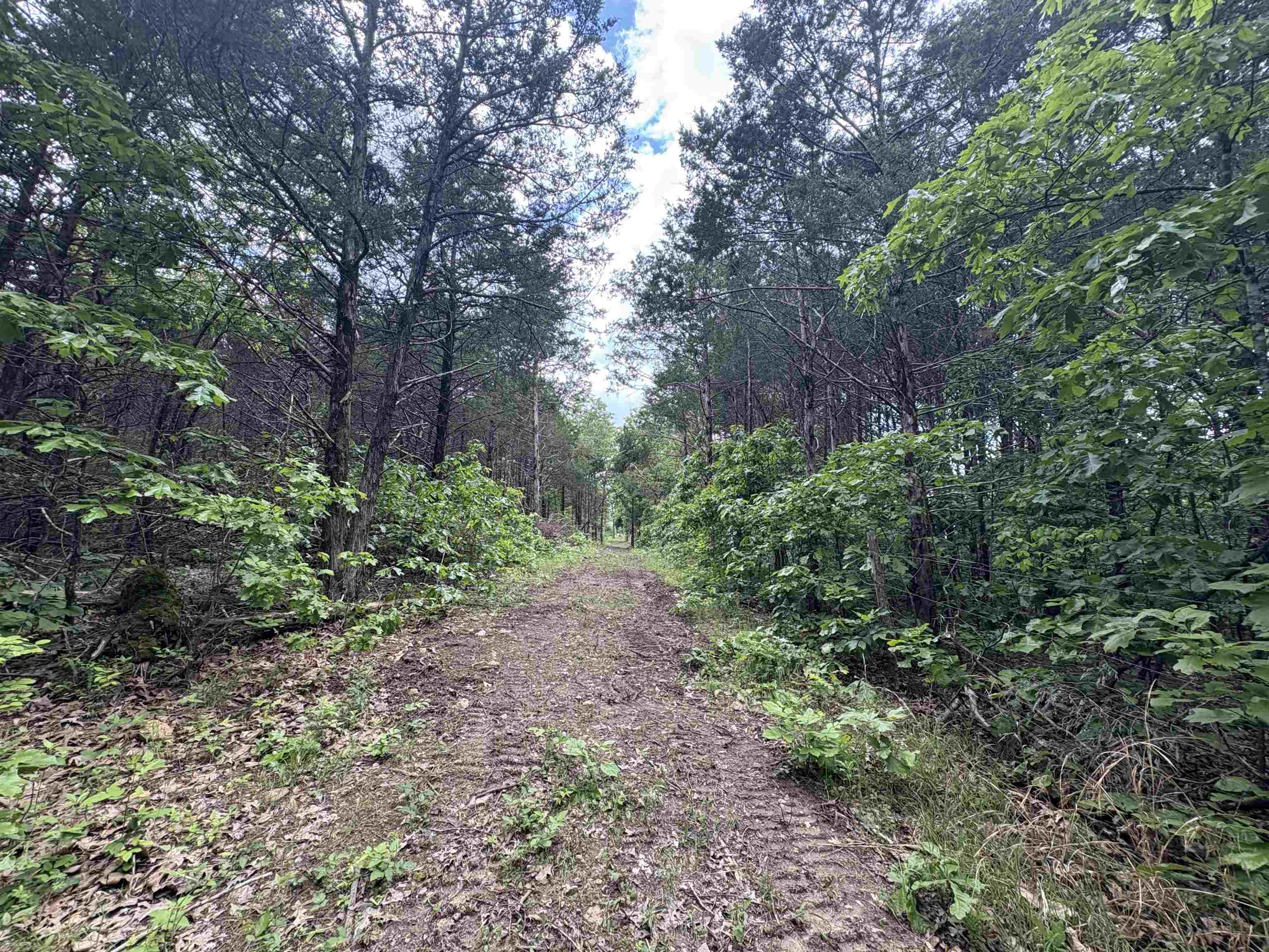 3968  HWY 167  Ash Flat, AR