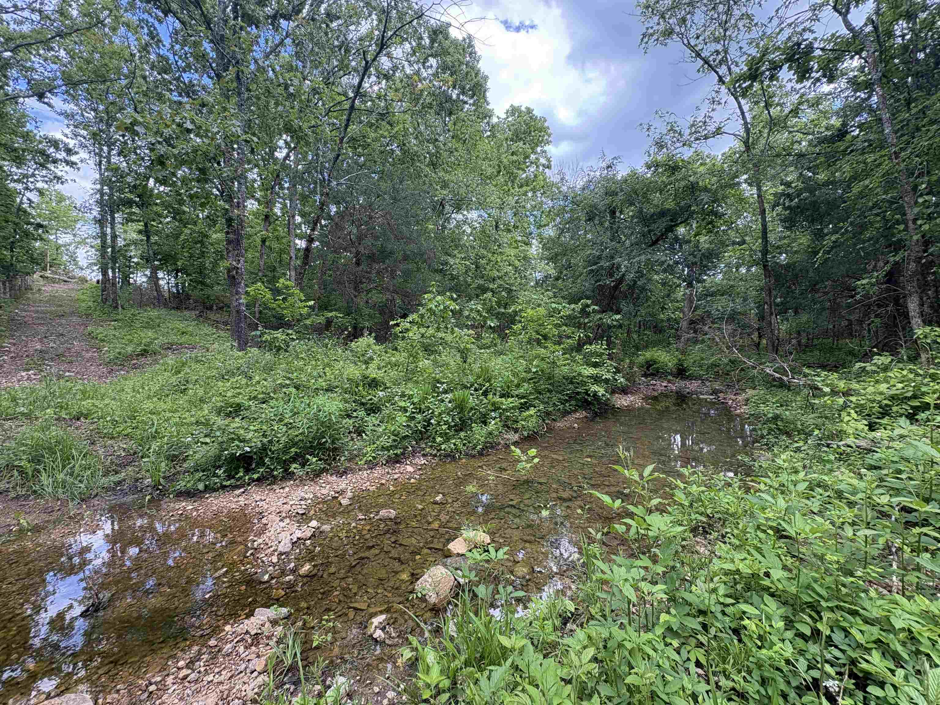 3968  HWY 167  Ash Flat, AR