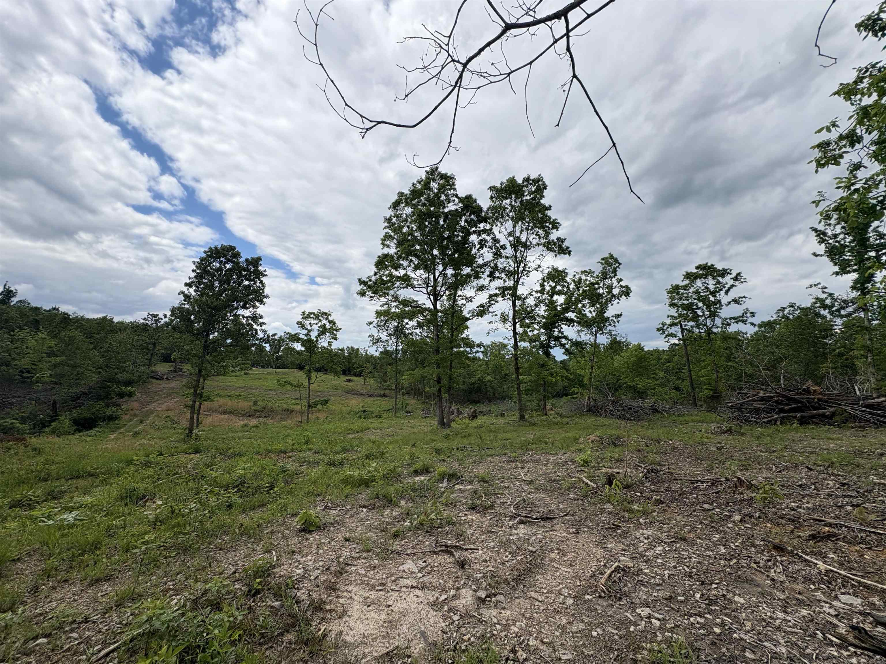 3968  HWY 167  Ash Flat, AR