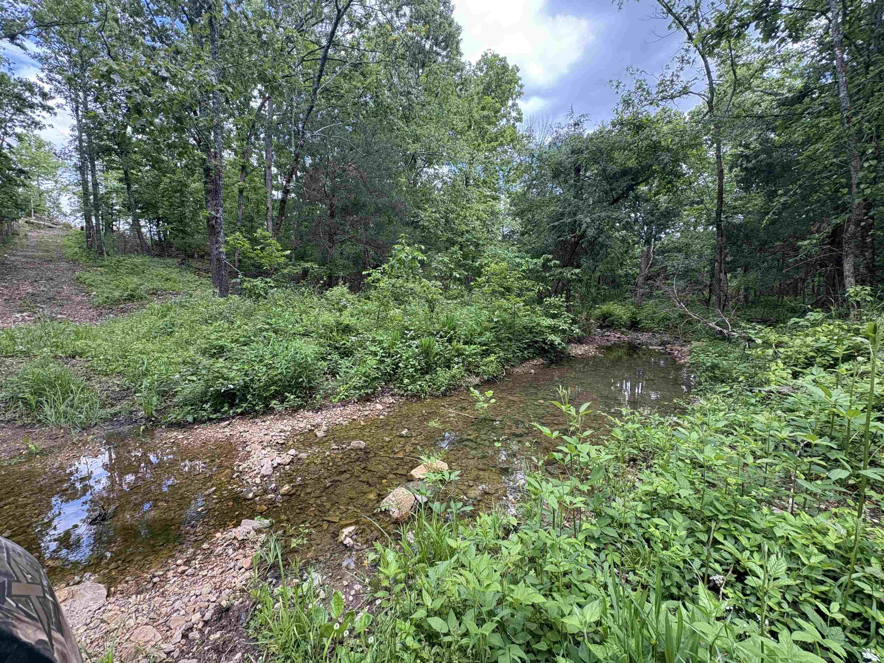 3968  HWY 167  Ash Flat, AR