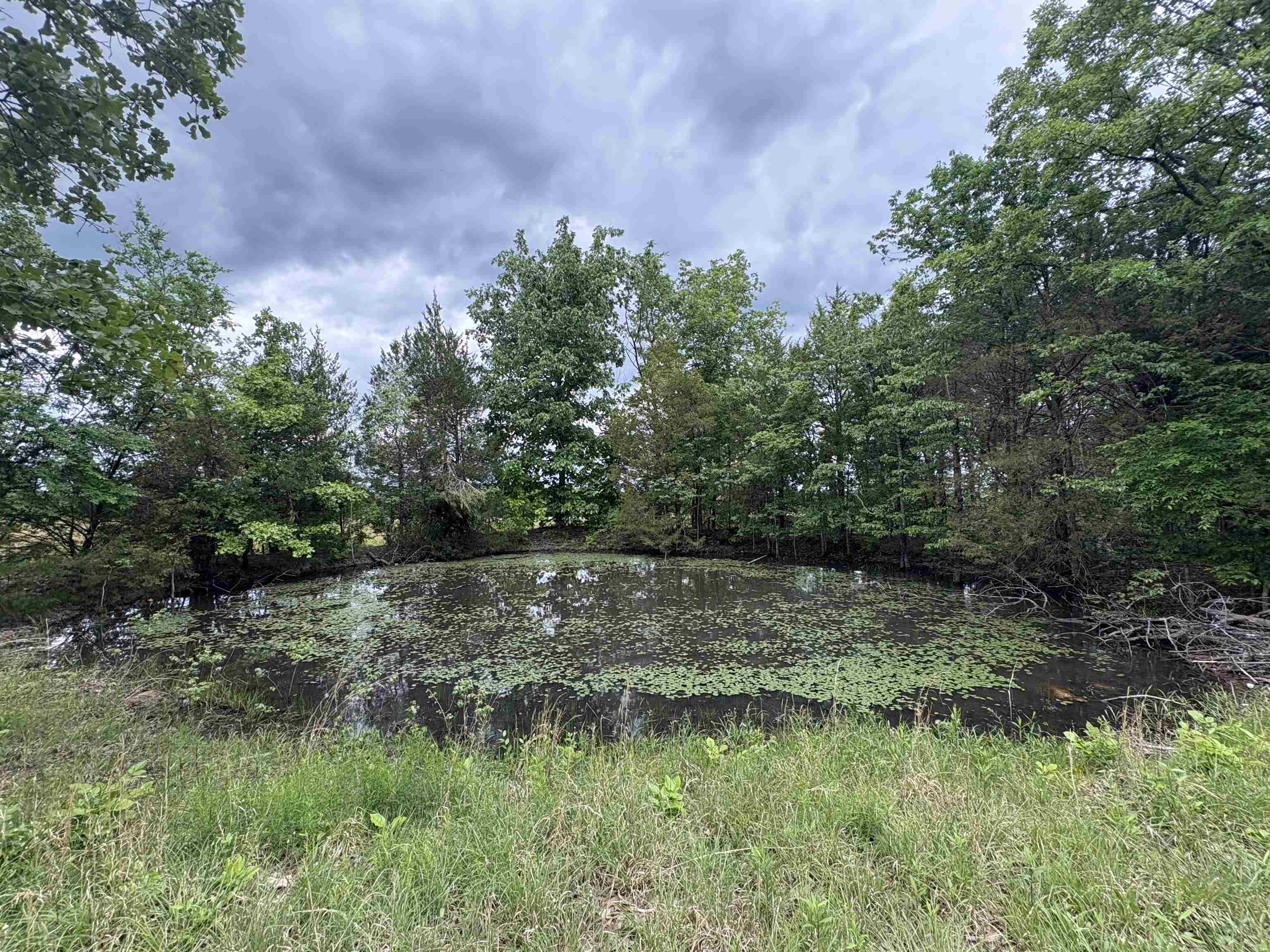 3968  HWY 167  Ash Flat, AR