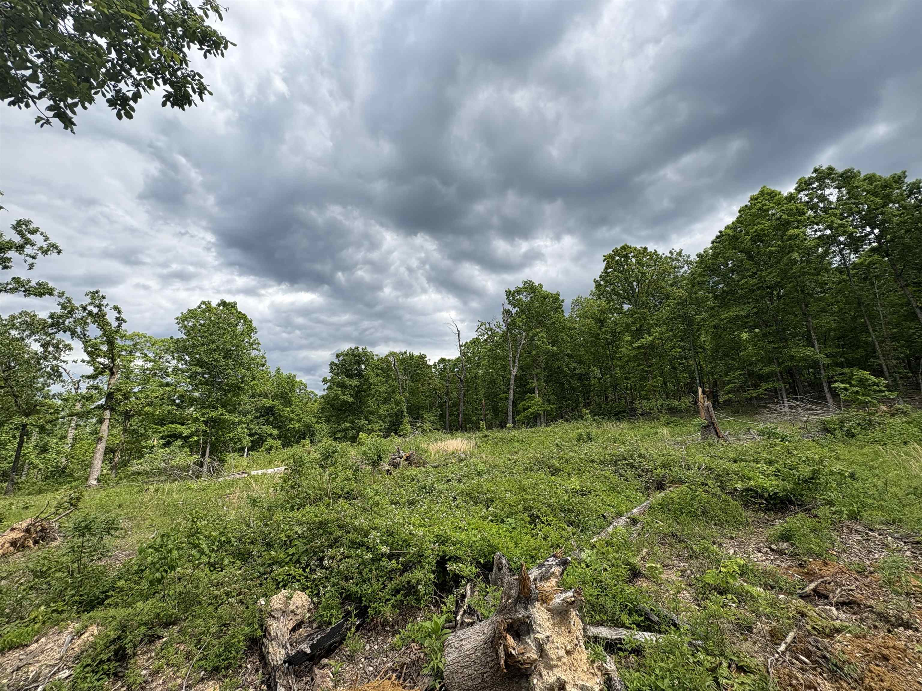 3968  HWY 167  Ash Flat, AR