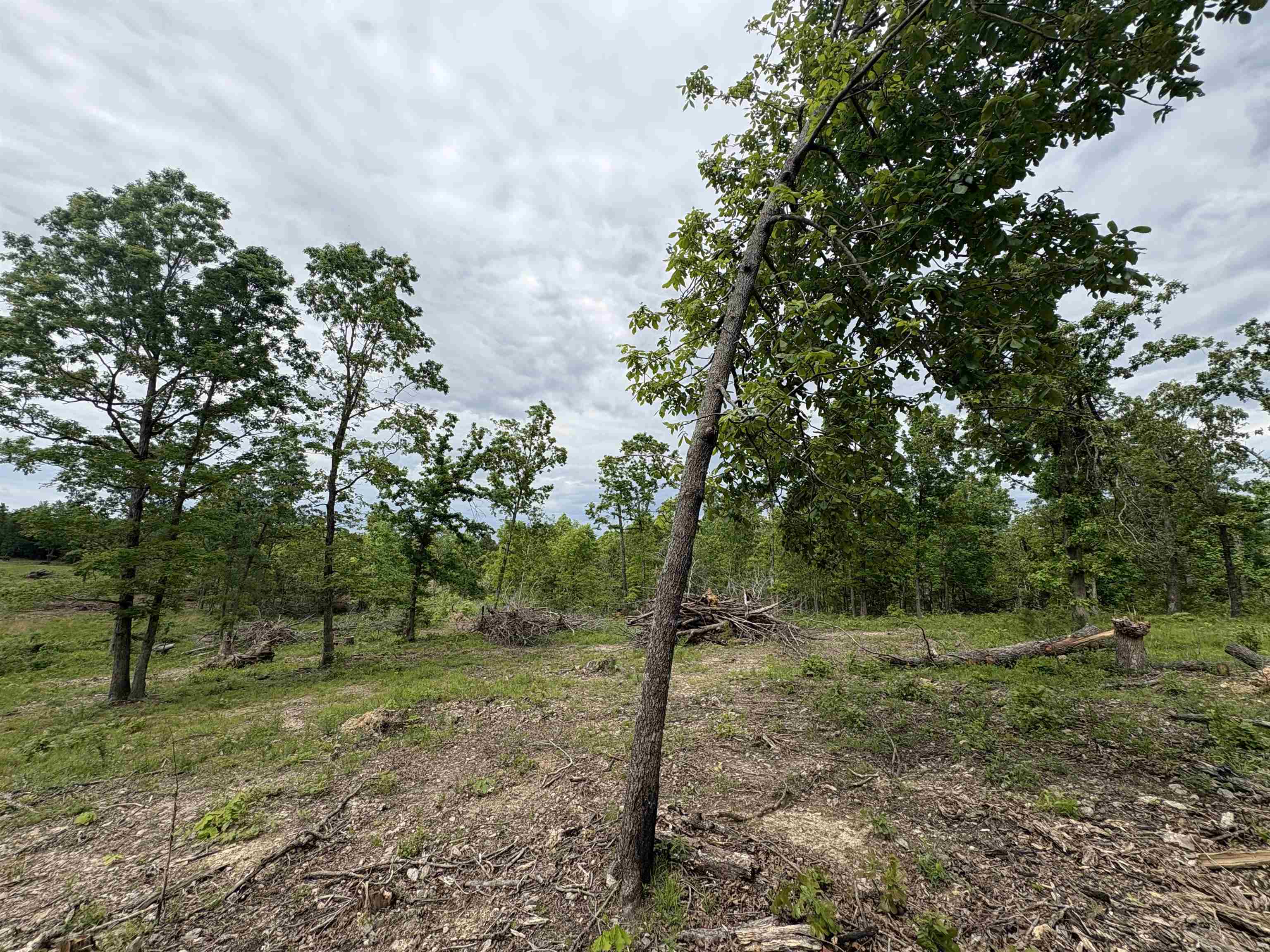 3968  HWY 167  Ash Flat, AR