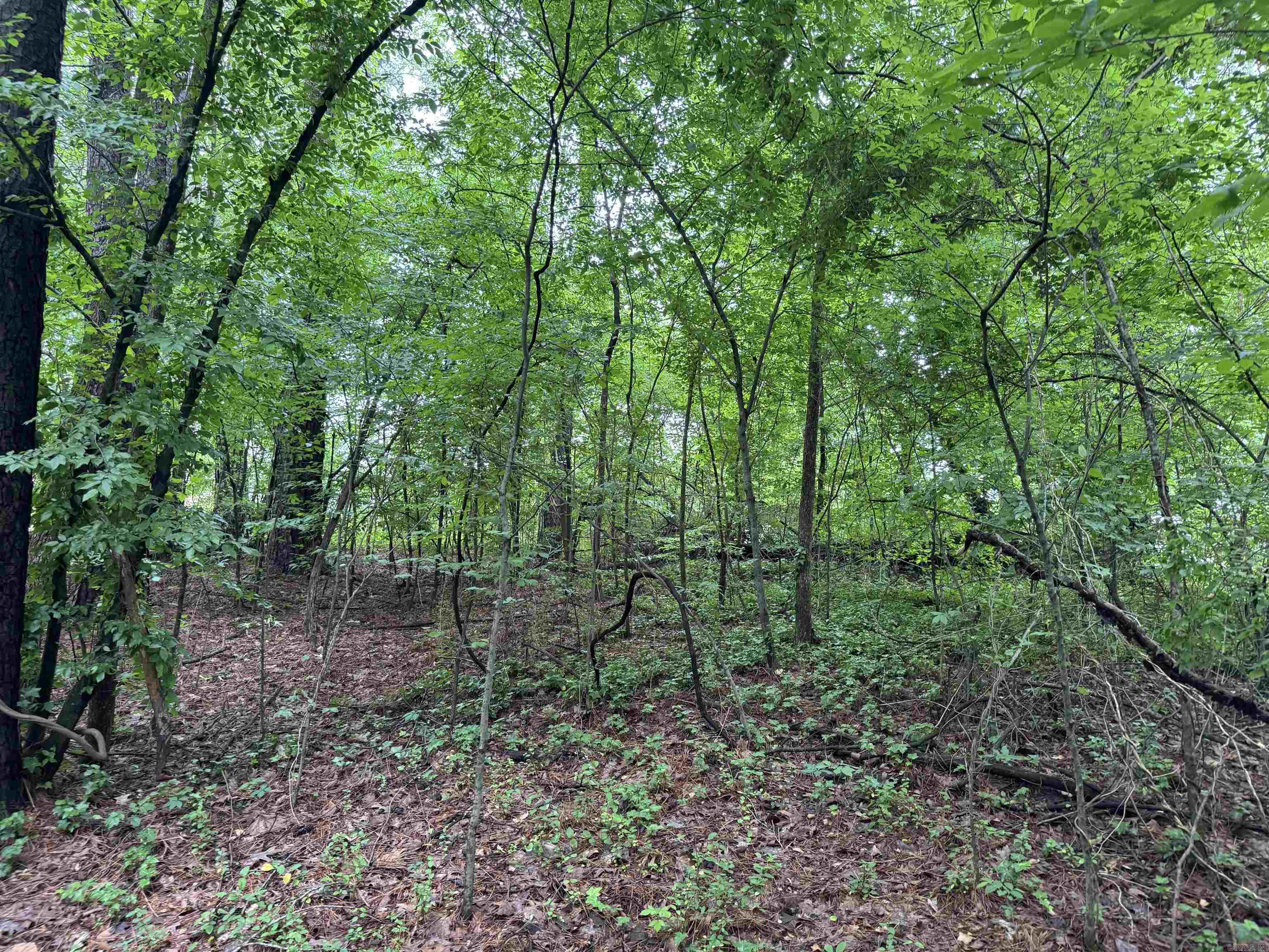 Lot 2  Woodland Drive  Benton, AR