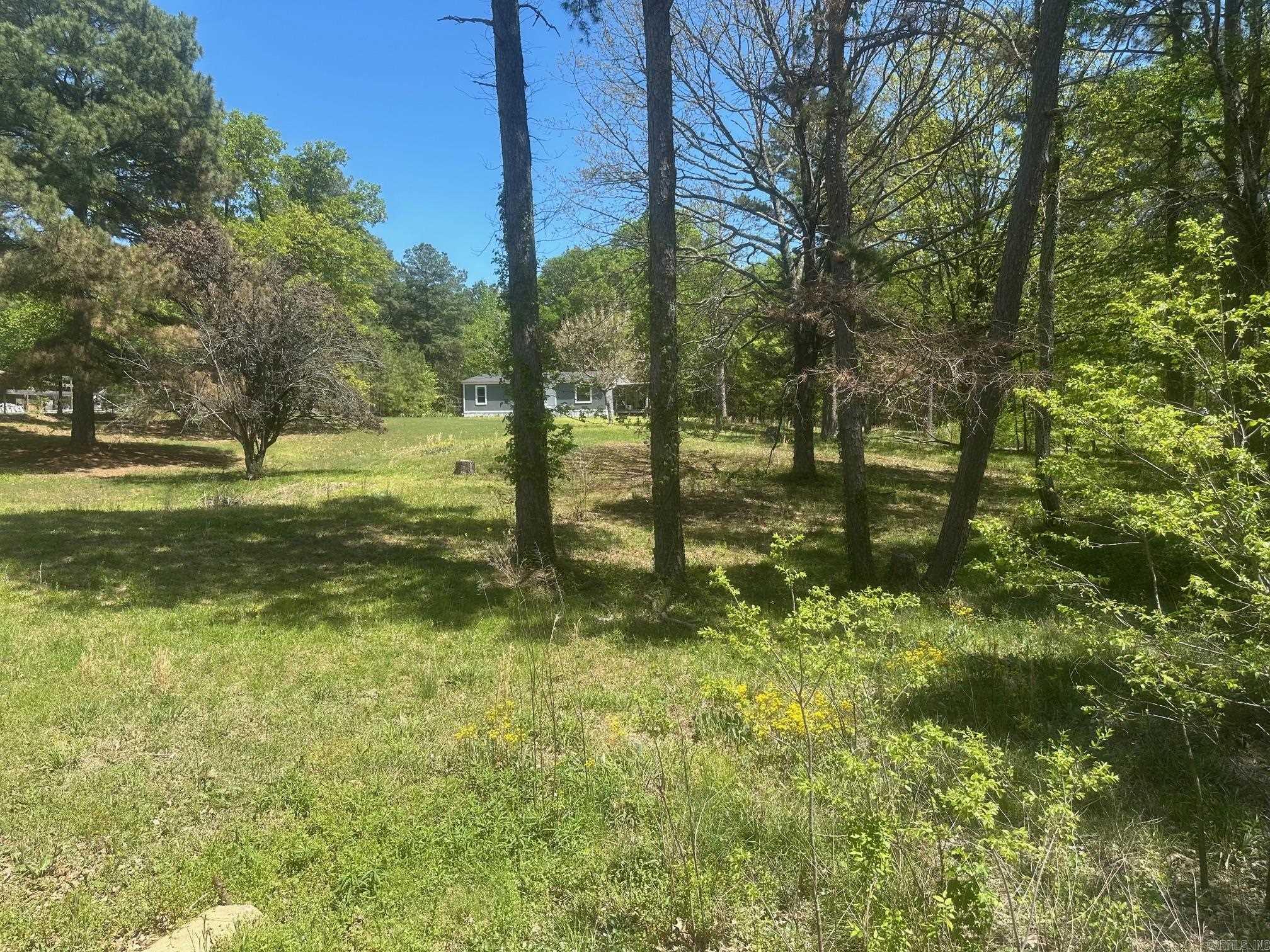 174  Joella  Pearcy, AR