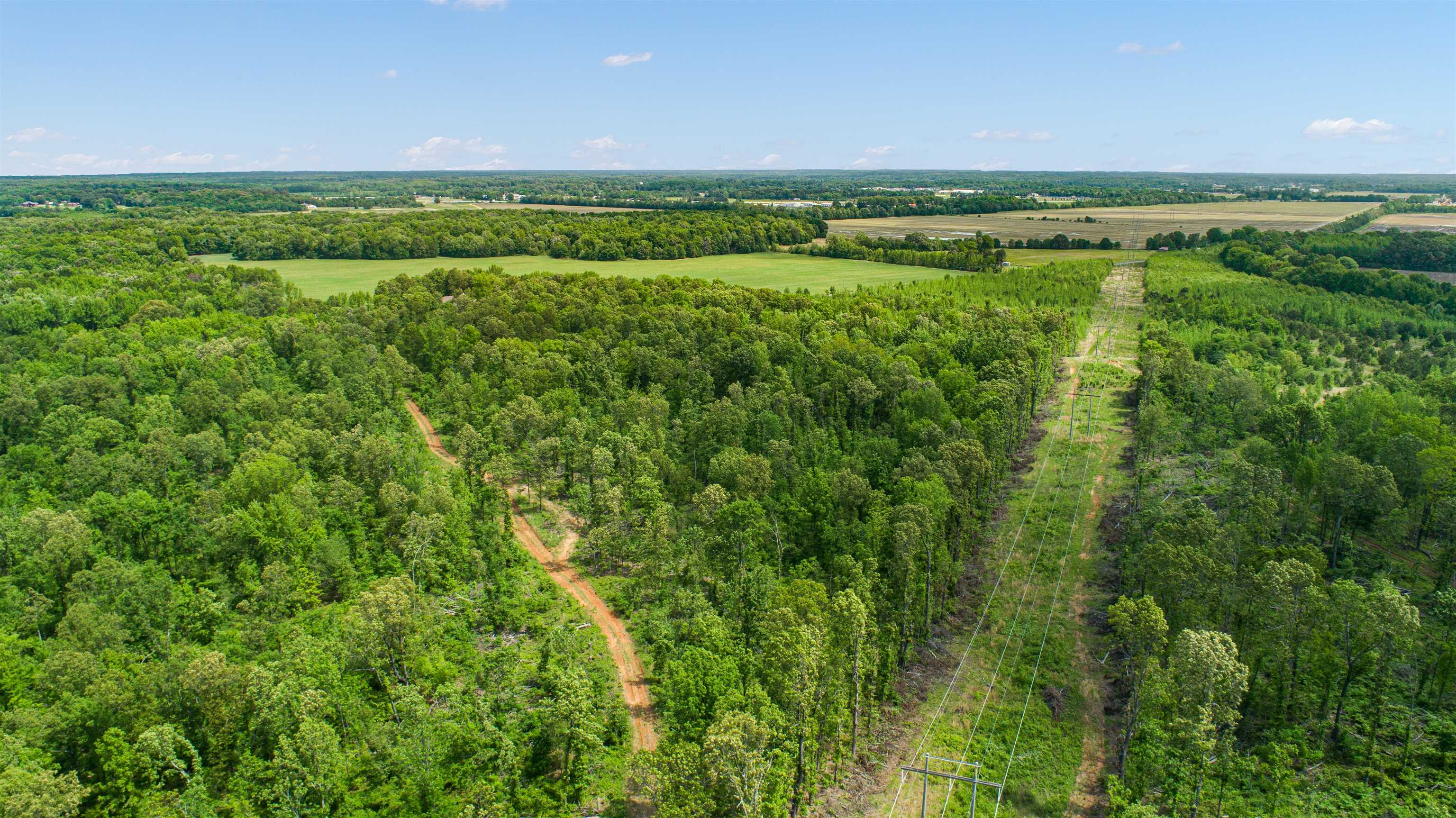 80.24 acres  CR 114  Jonesboro, AR