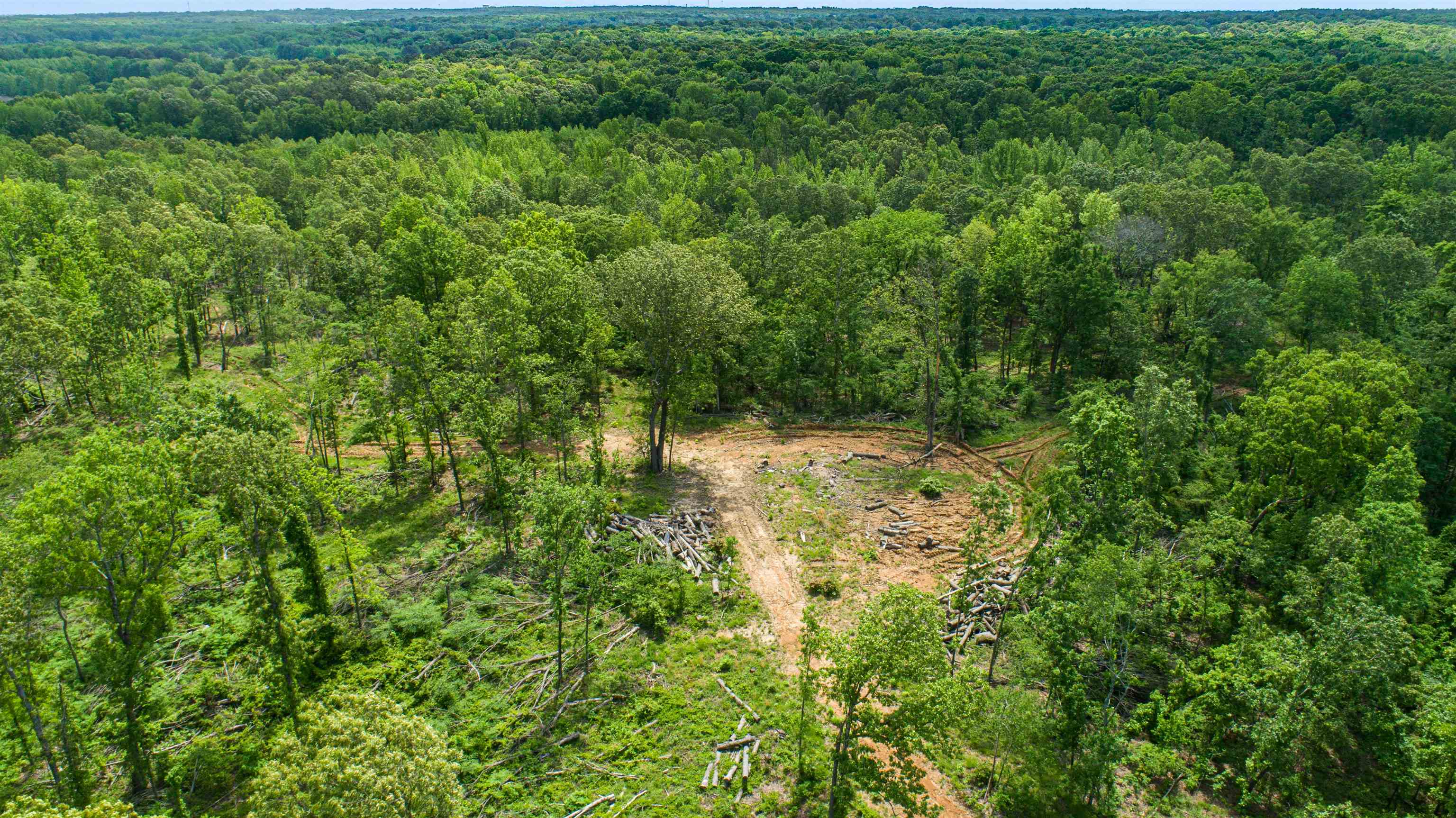 80.24 acres  CR 114  Jonesboro, AR
