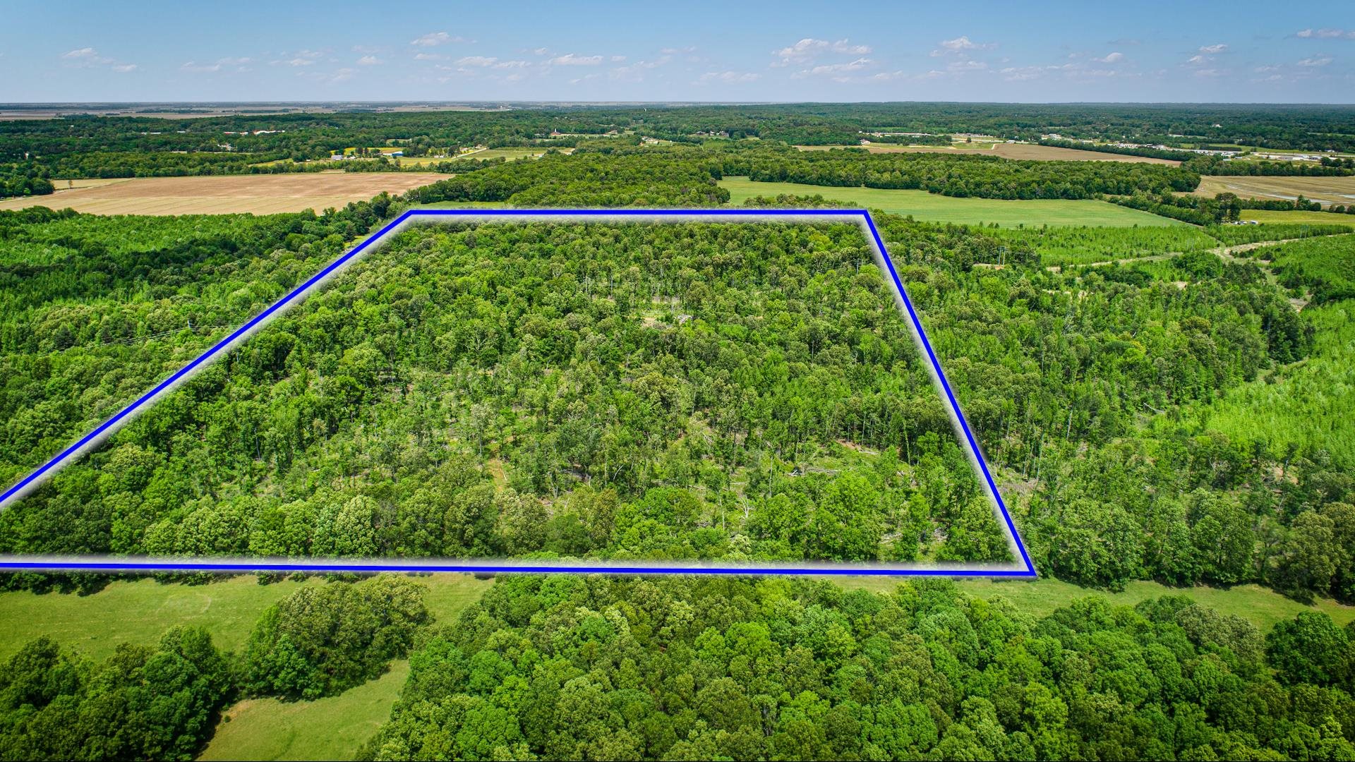 80.24 acres  CR 114  Jonesboro, AR