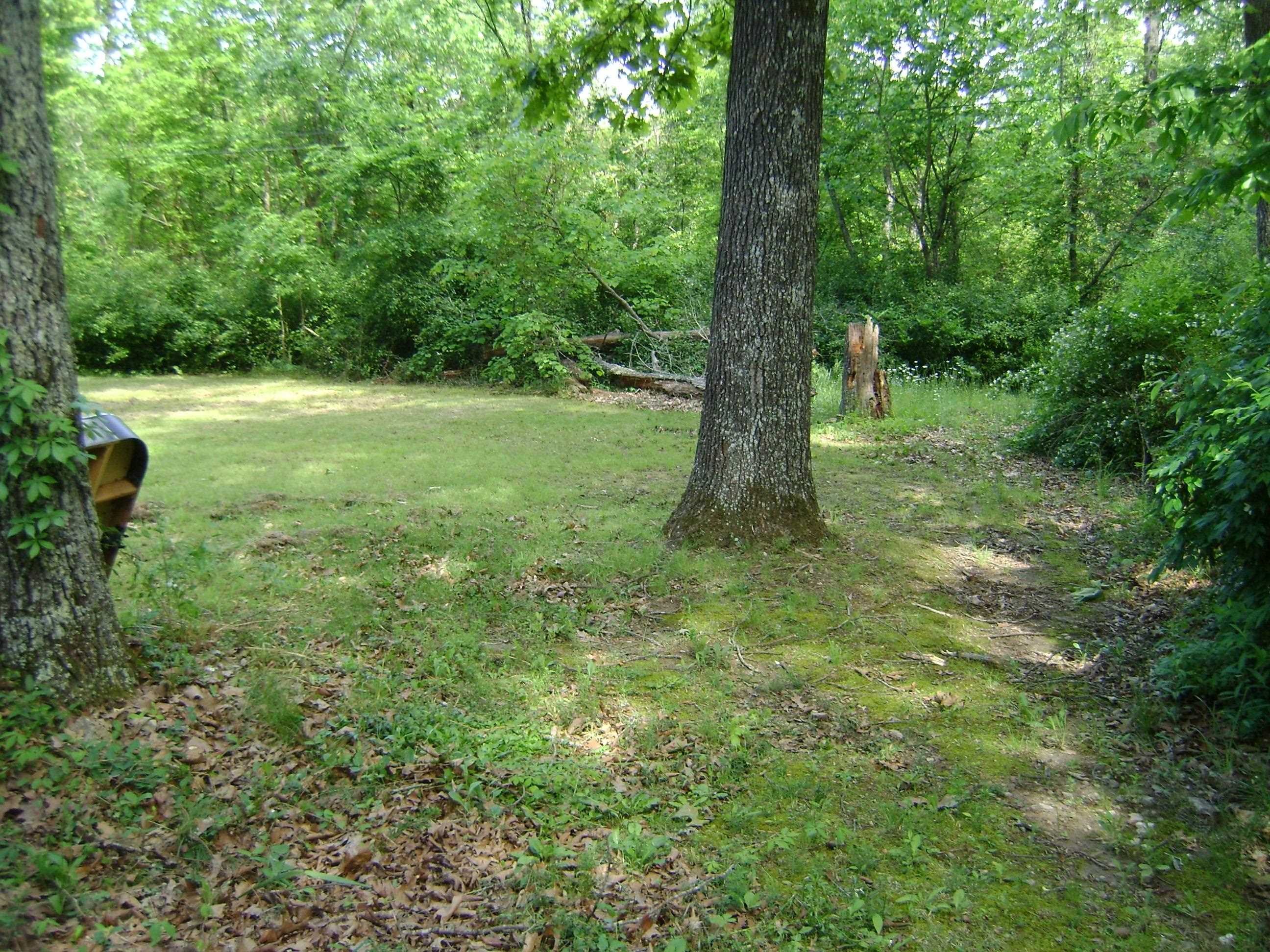 305  Bambi Lane  Horseshoe Bend, AR