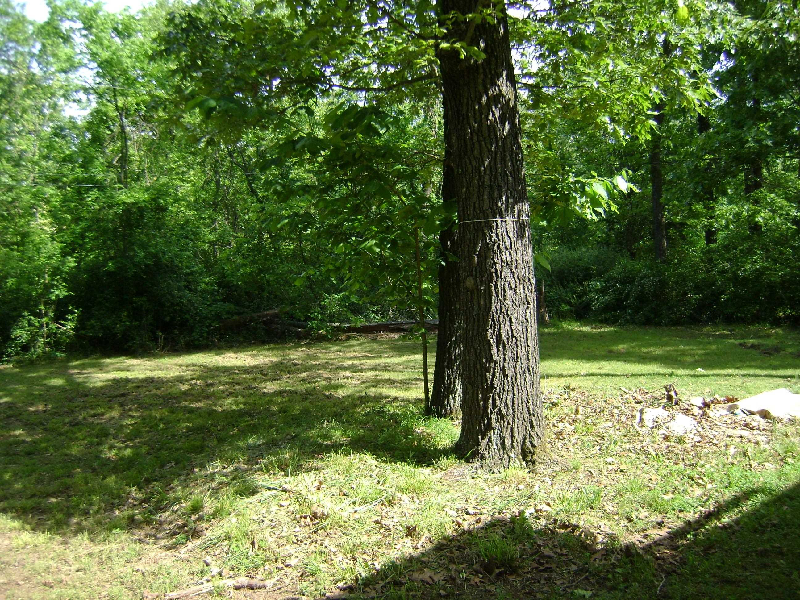305  Bambi Lane  Horseshoe Bend, AR
