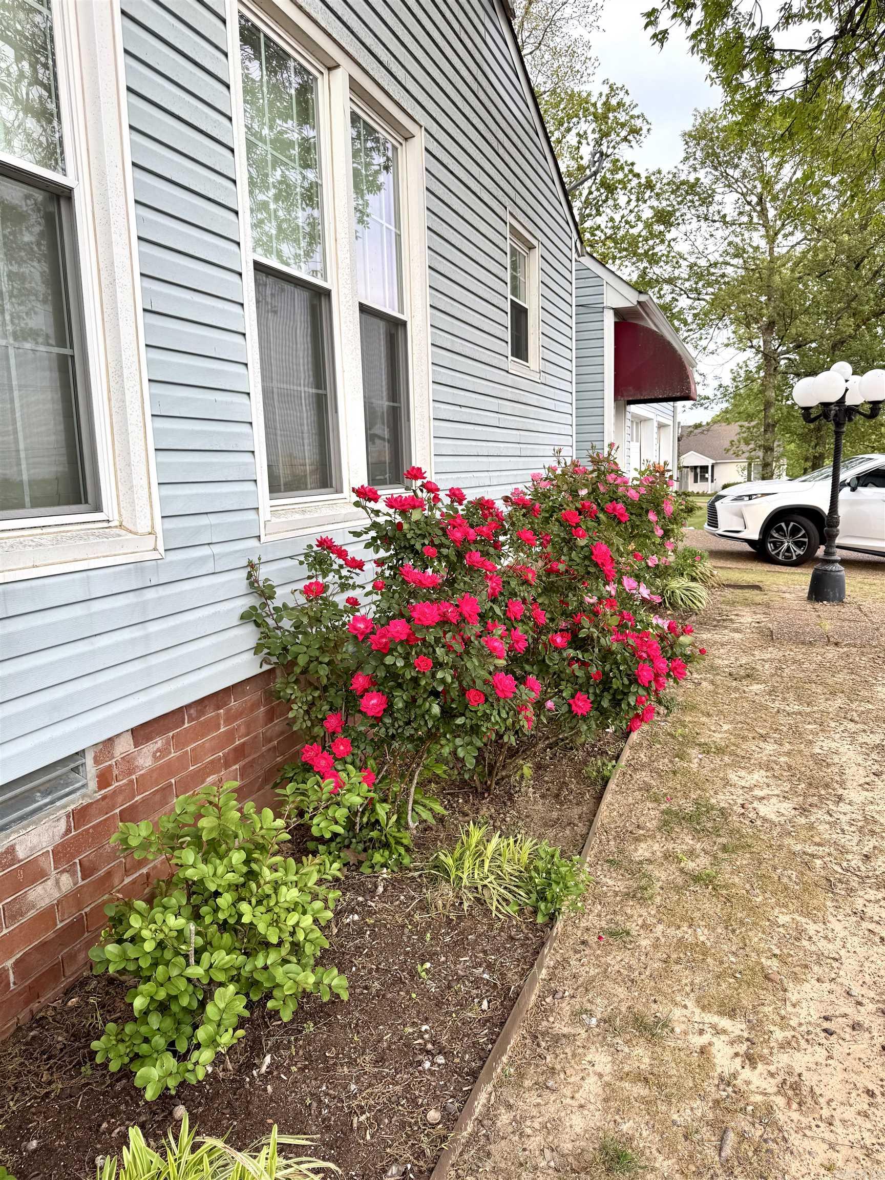 9  River Oaks  Searcy, AR