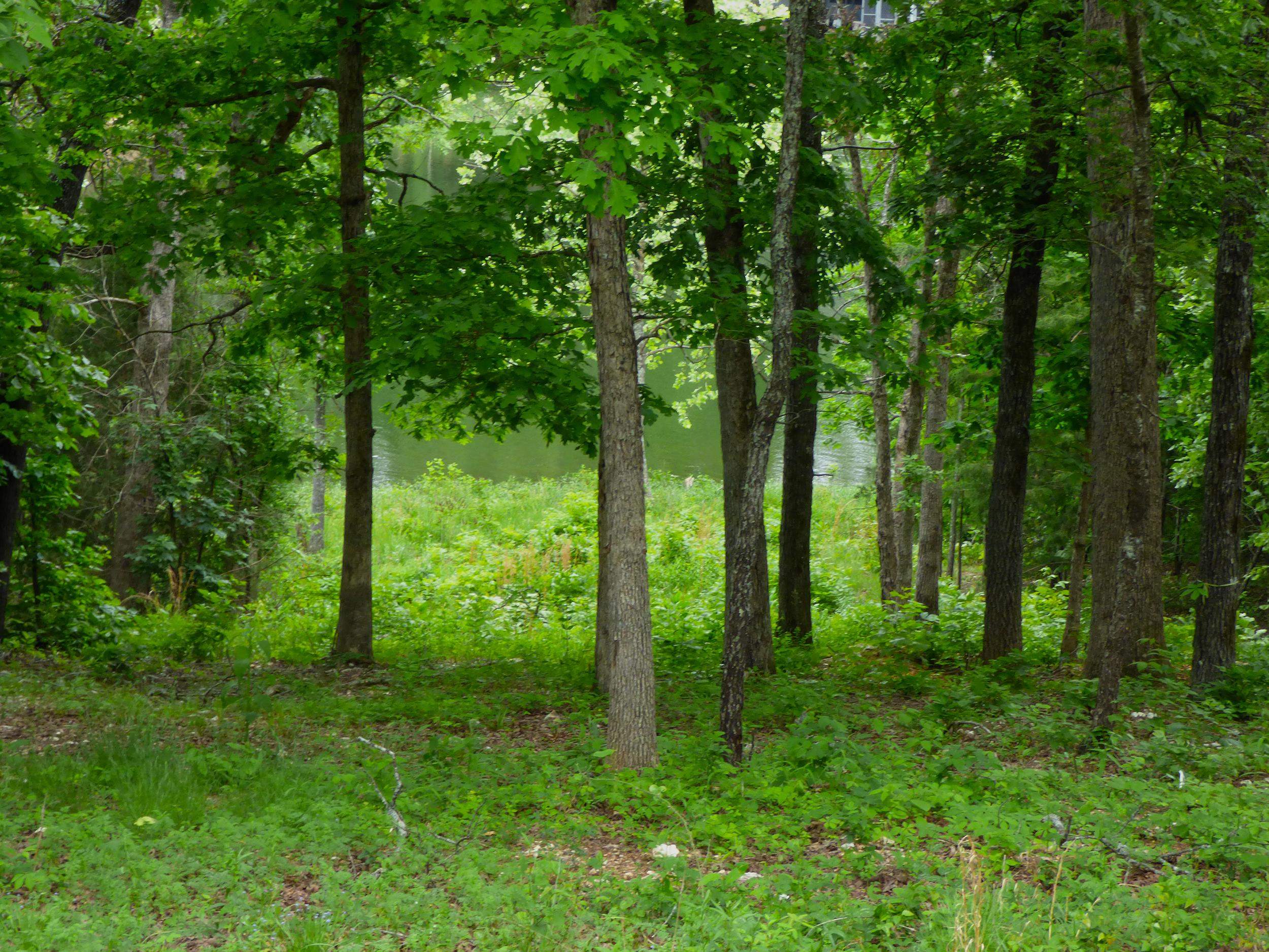   Tonganoxie  Cherokee Village, AR