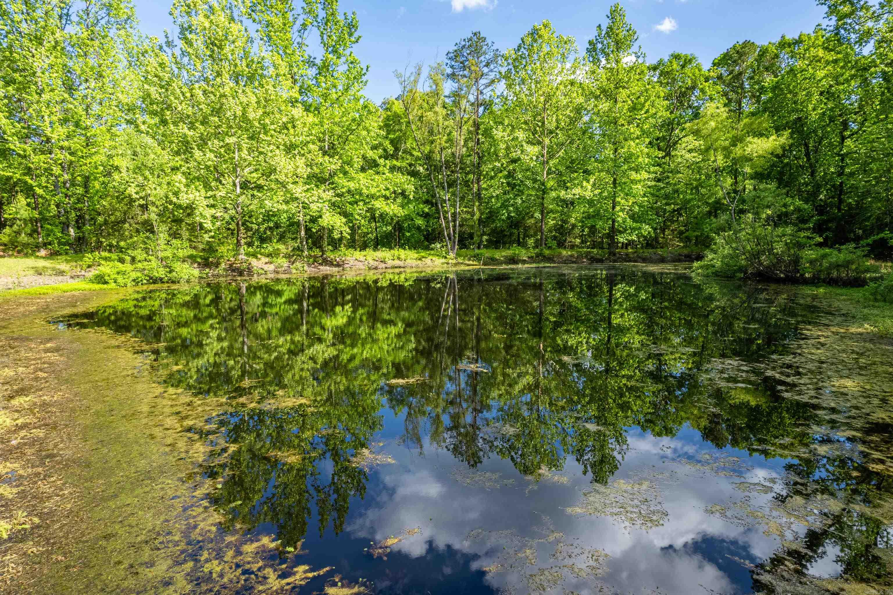 4845  Mill Creek  Hot Springs, AR