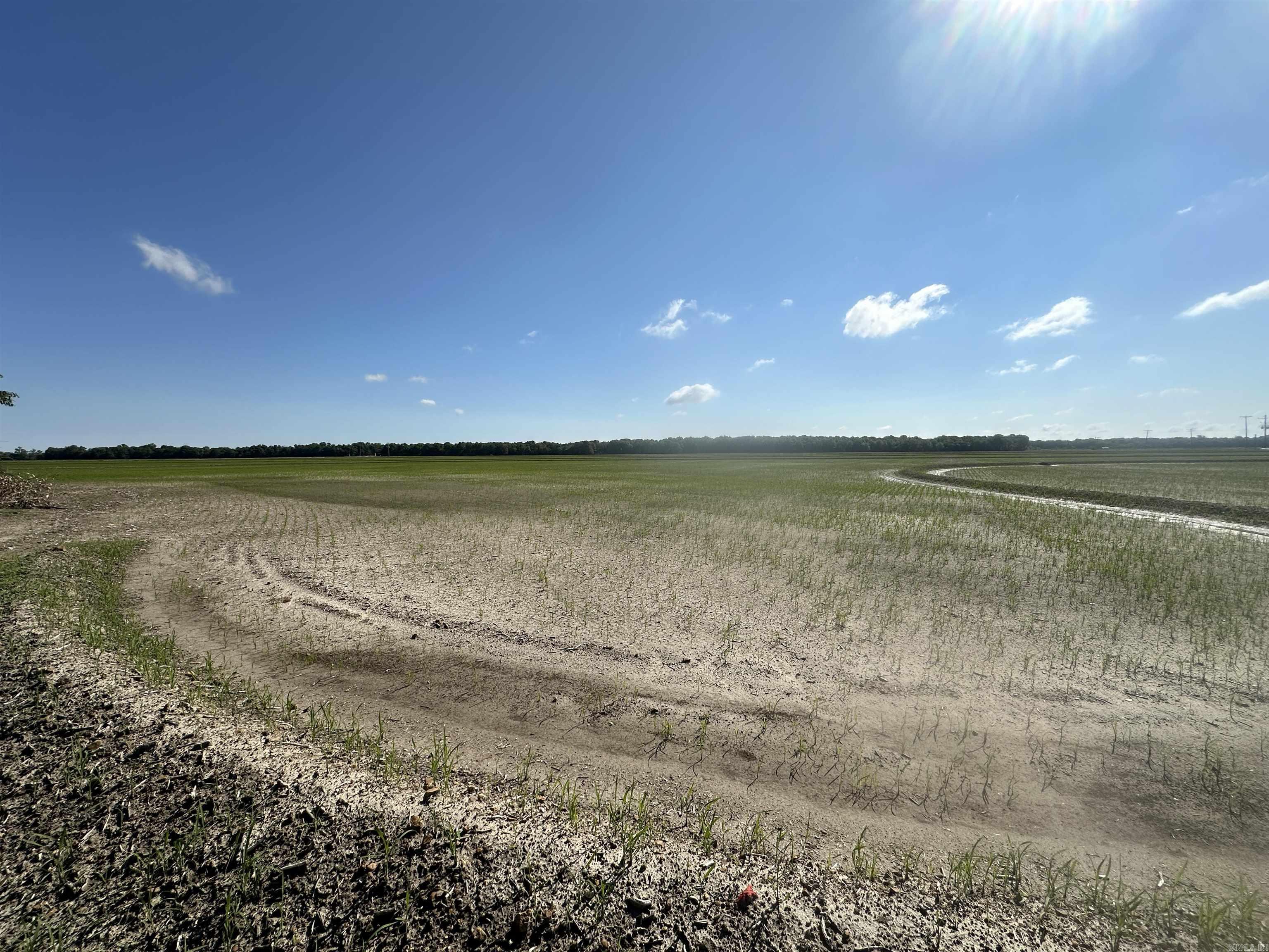 0  Ukena Rd  Weiner, AR