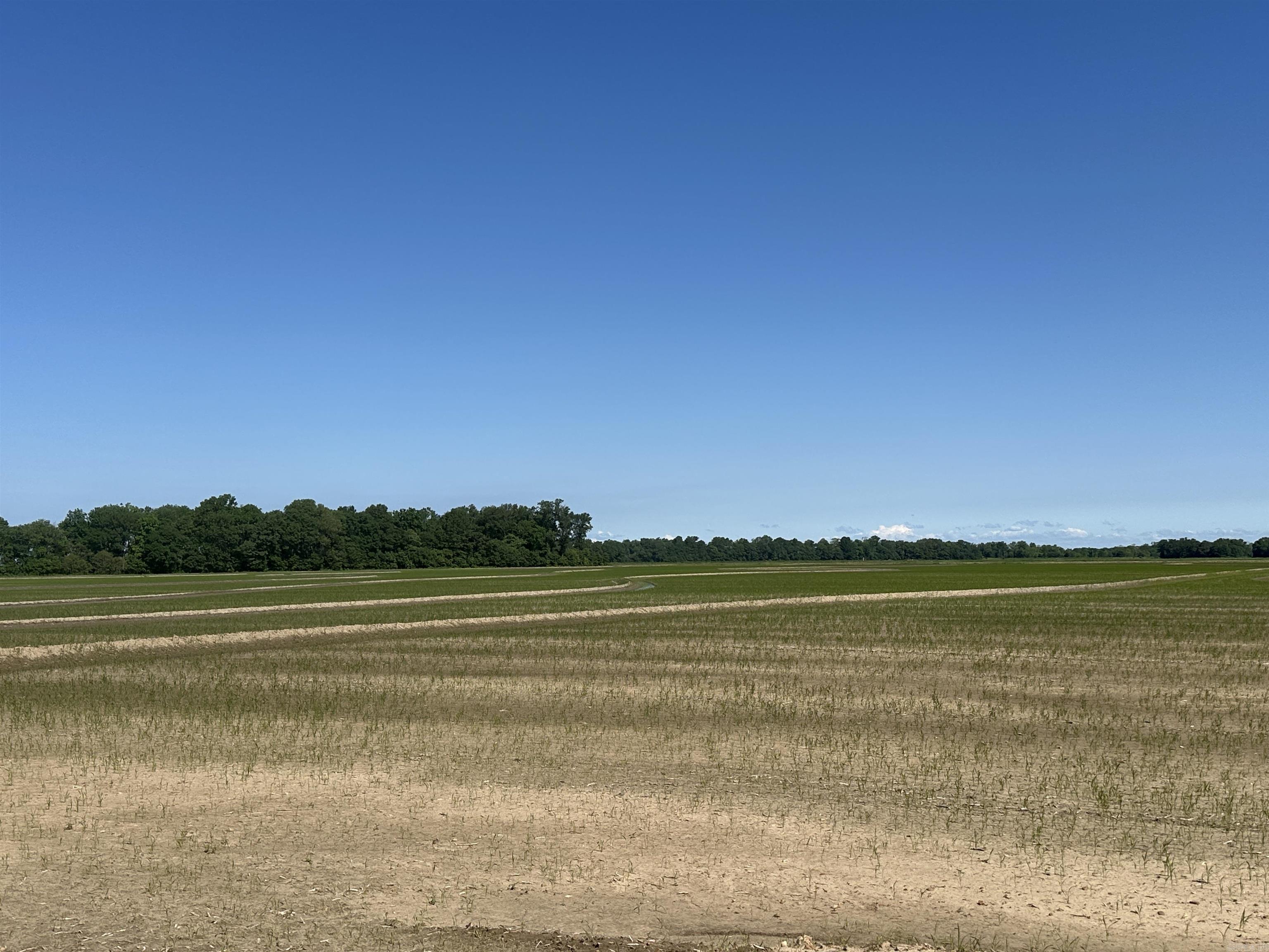 0  Ukena Rd  Weiner, AR