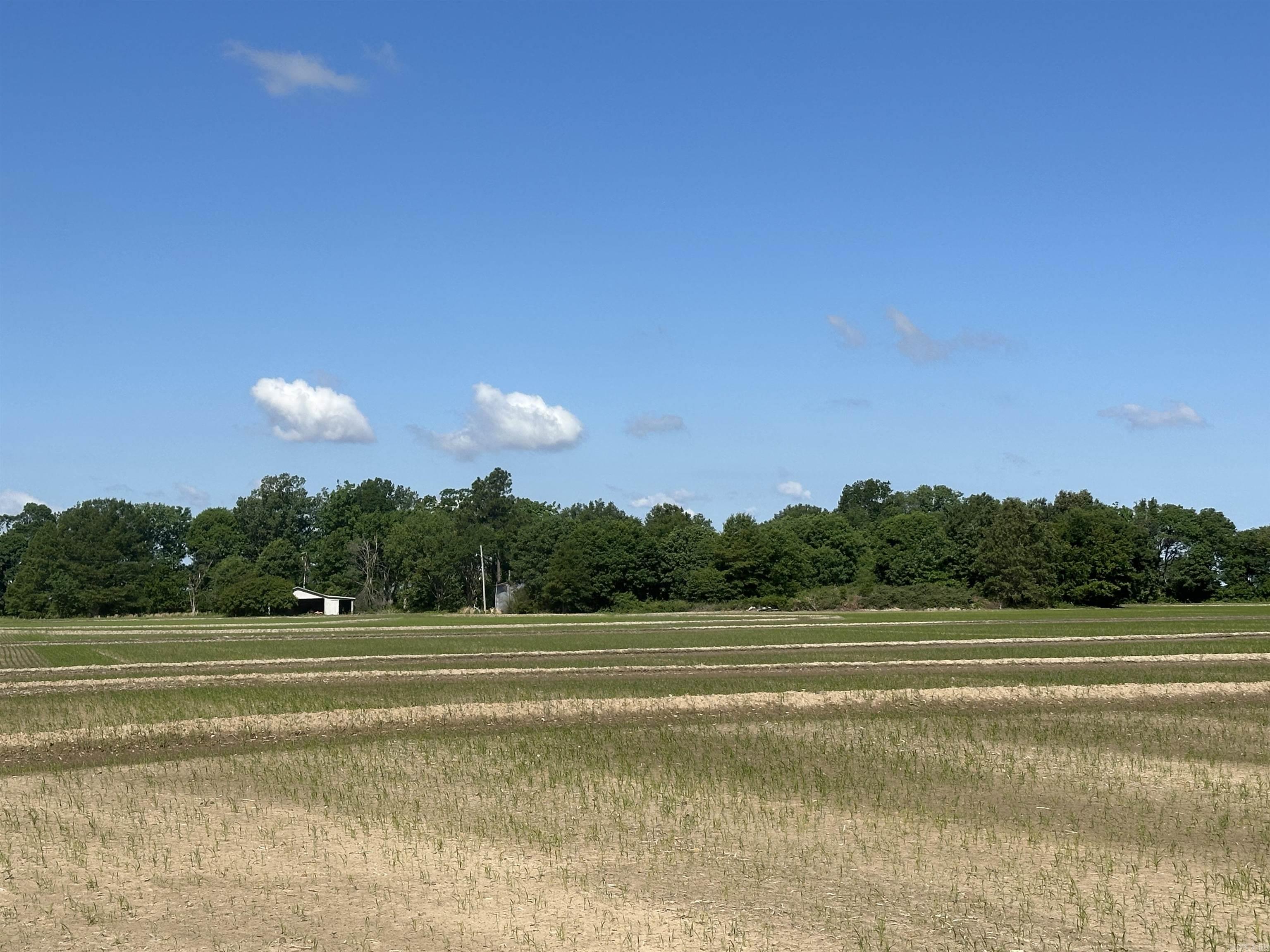 0  Ukena Rd  Weiner, AR