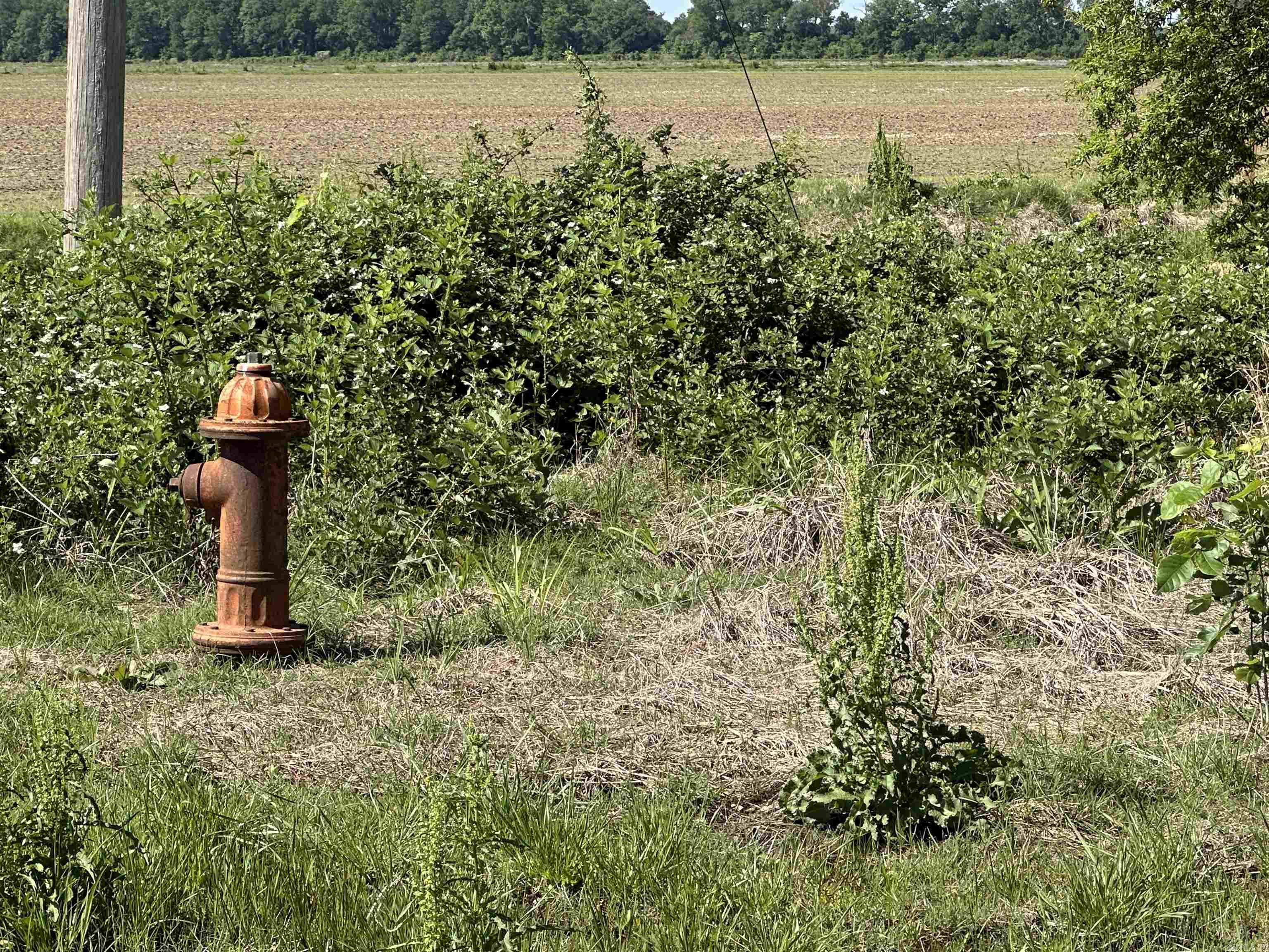 0  Ukena Rd  Weiner, AR