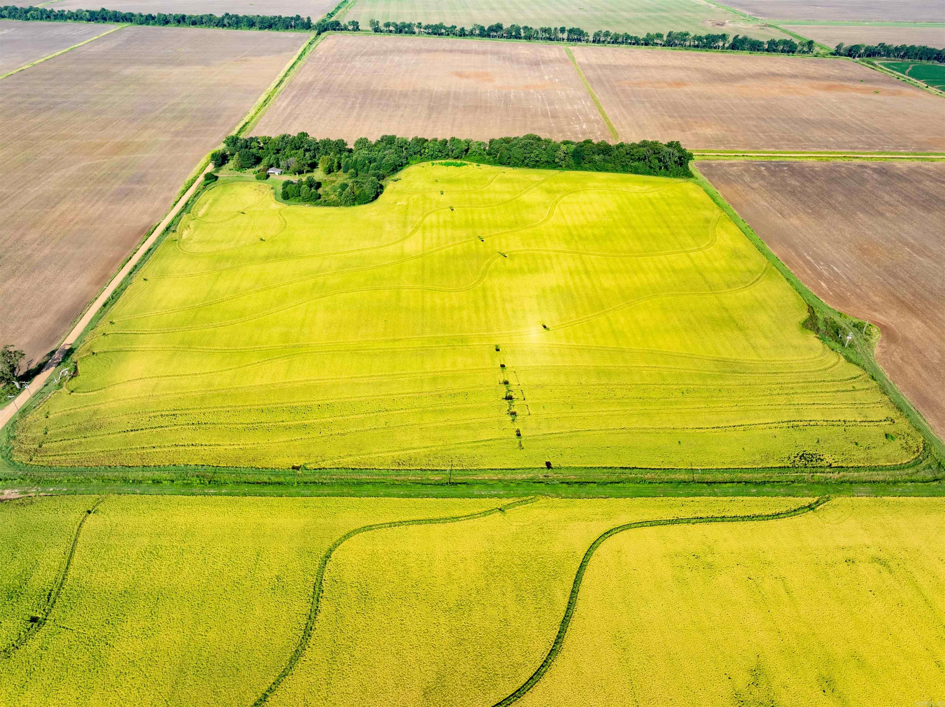 0 Ukena Rd  Weiner, AR