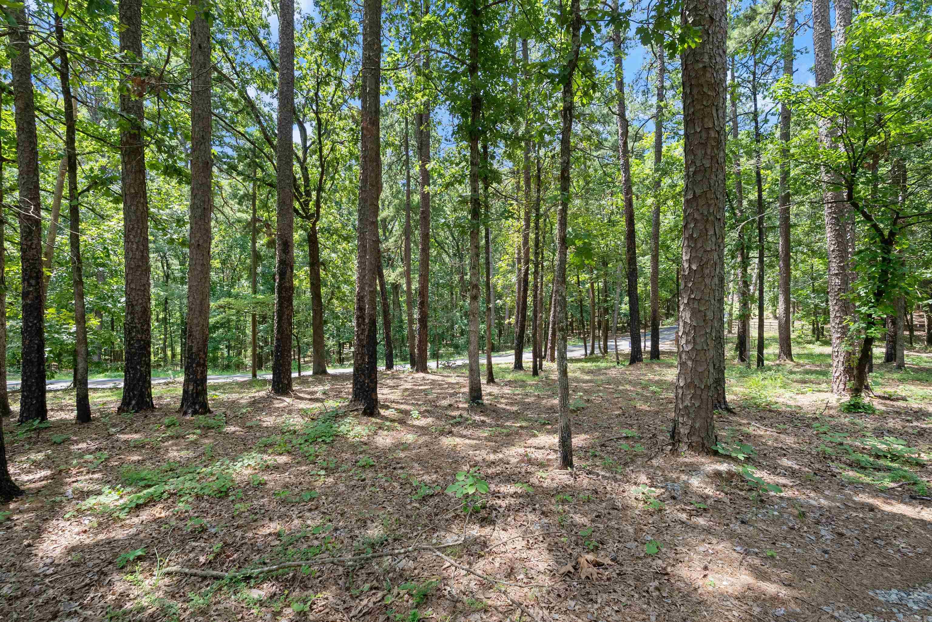 1516 E Lawson  Little Rock, AR