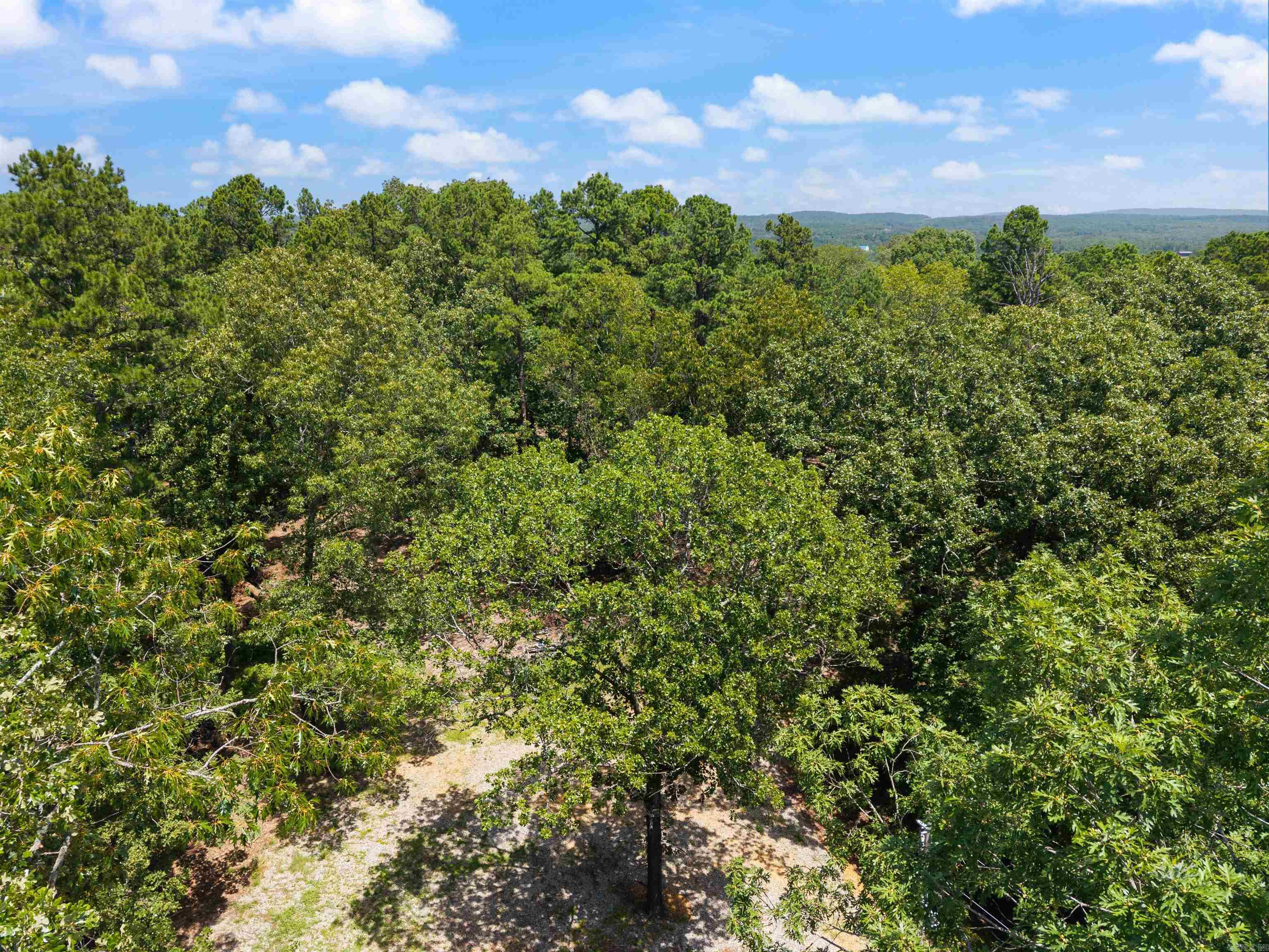 1516 E Lawson  Little Rock, AR