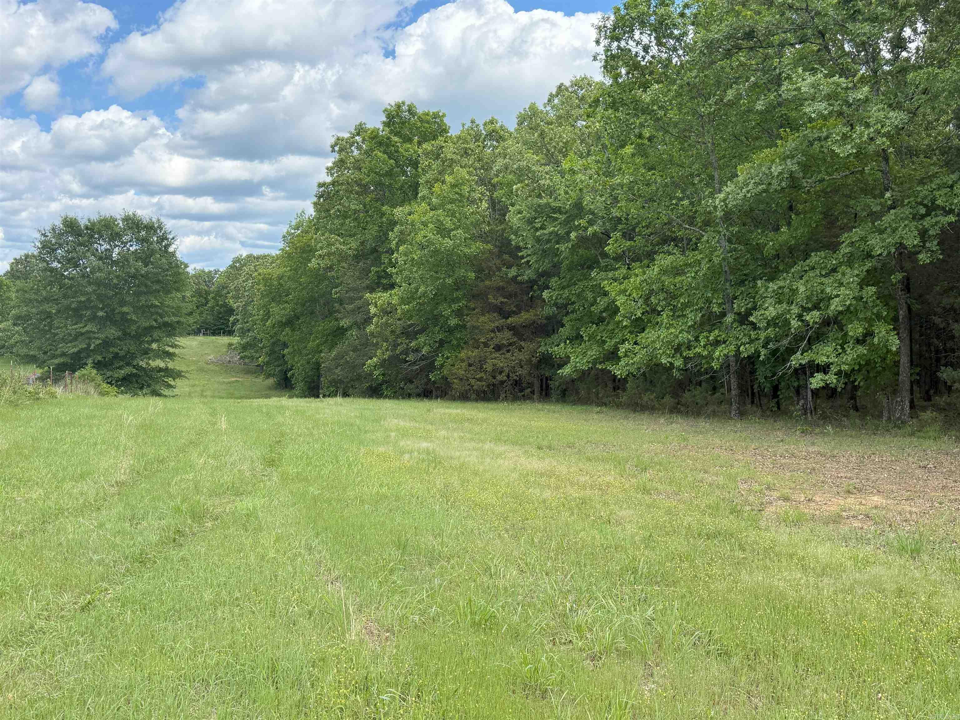 41  Heffington Cemetery  Enola, AR