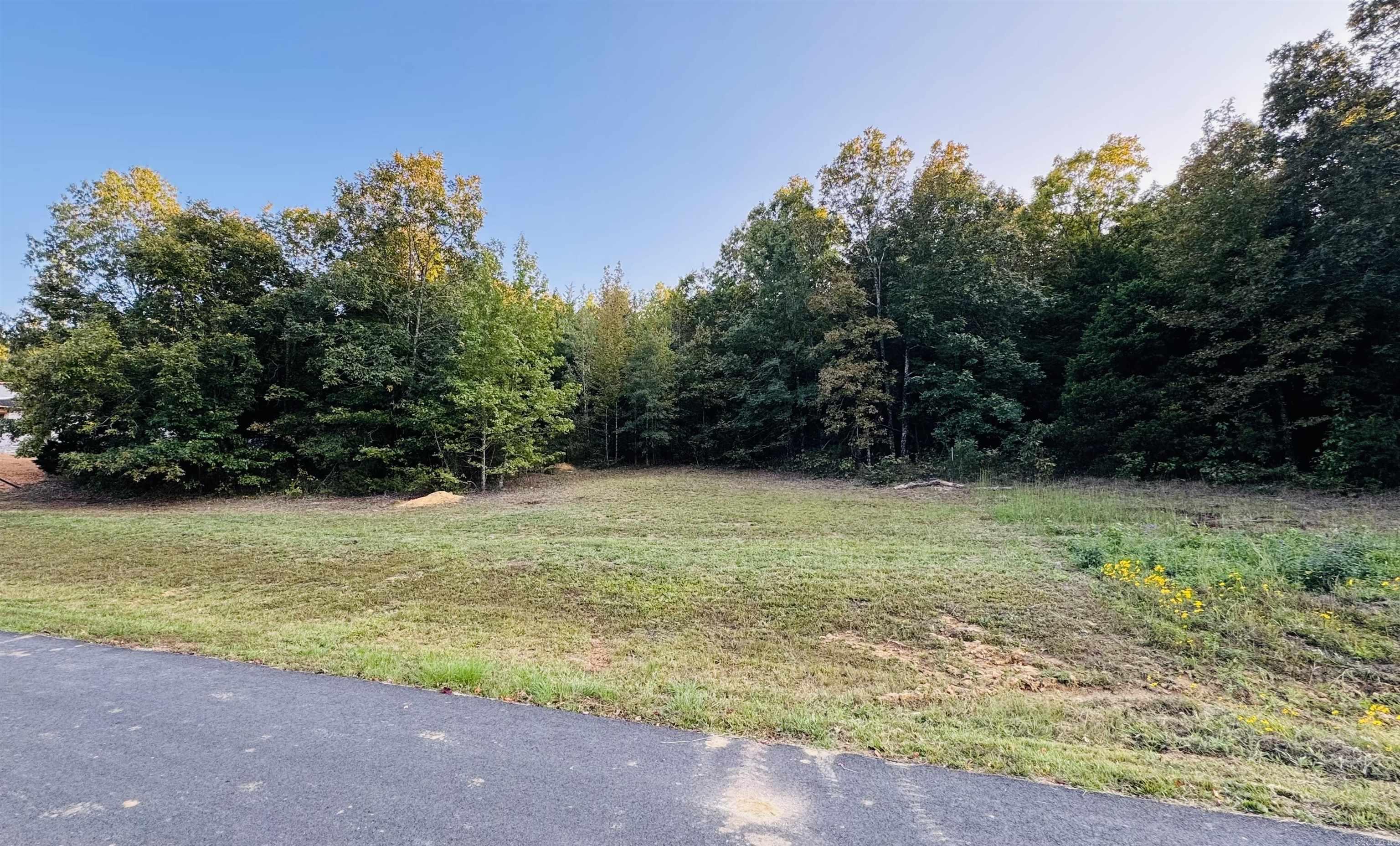 46  Rainbow Lake  Austin, AR