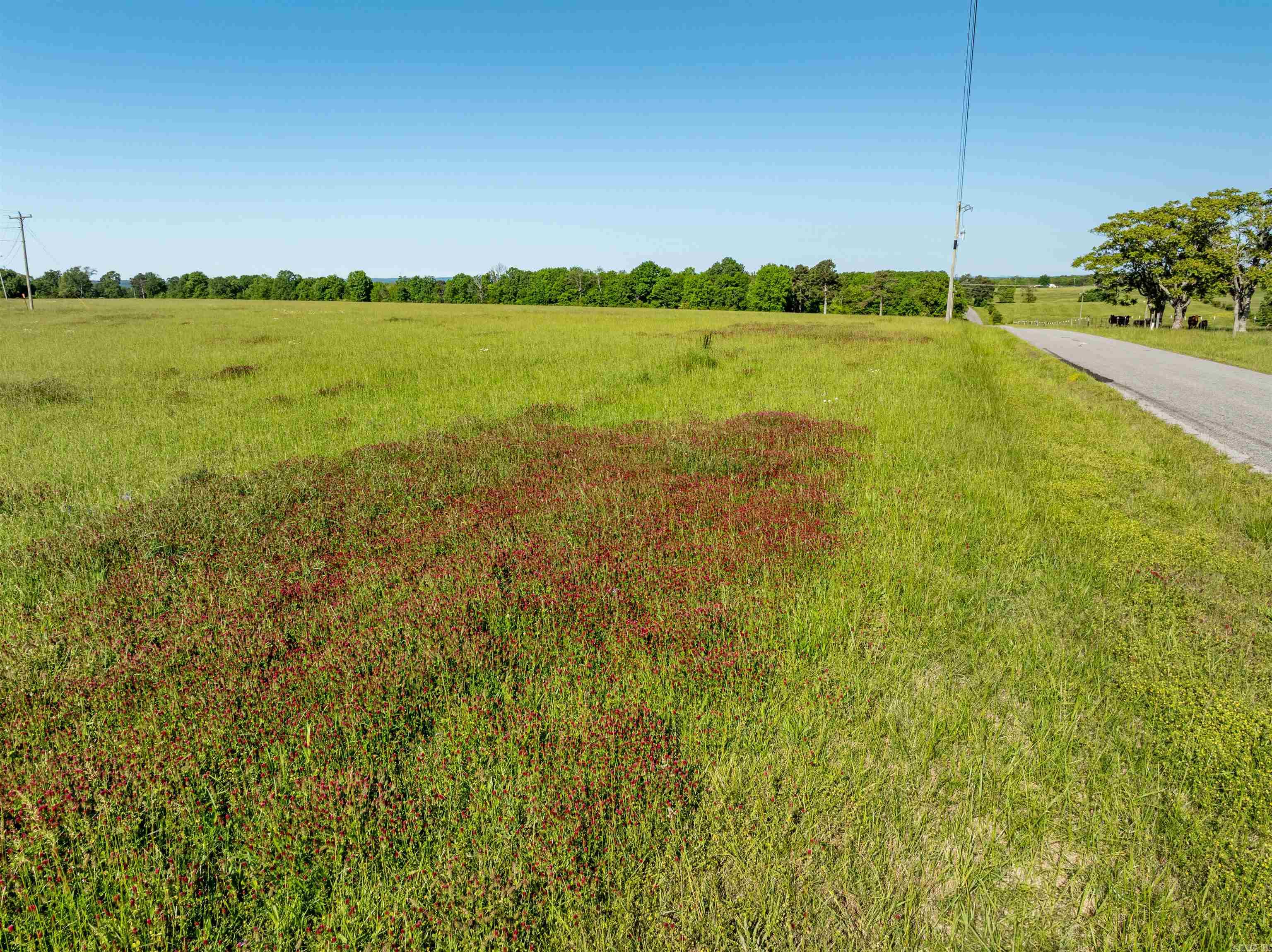 0  Heber Springs Rd  Locust Grove, AR
