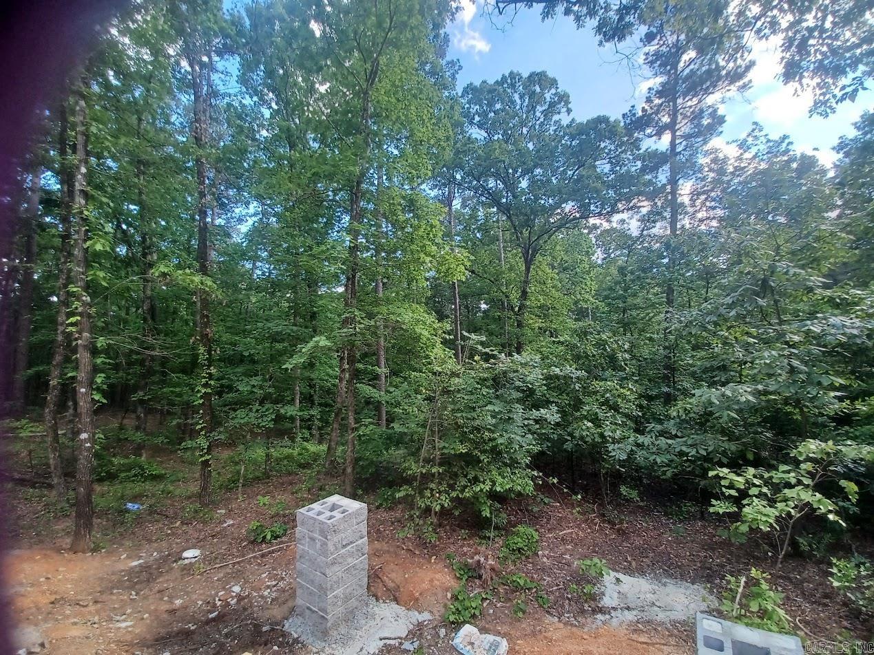 32  Propio Way  Hot Springs Village, AR