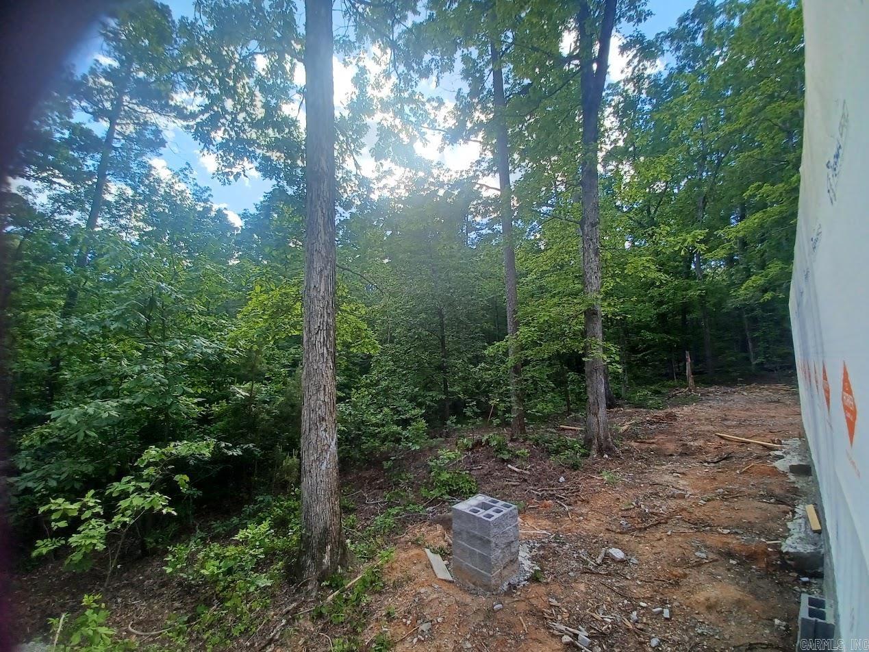 32  Propio Way  Hot Springs Village, AR