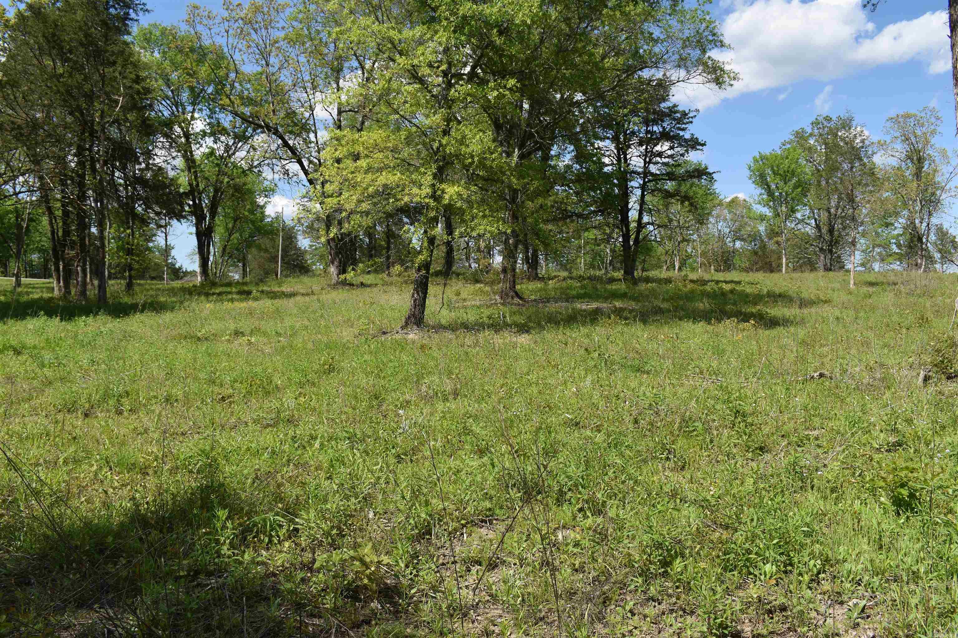 0000  Highway 88  Sims, AR