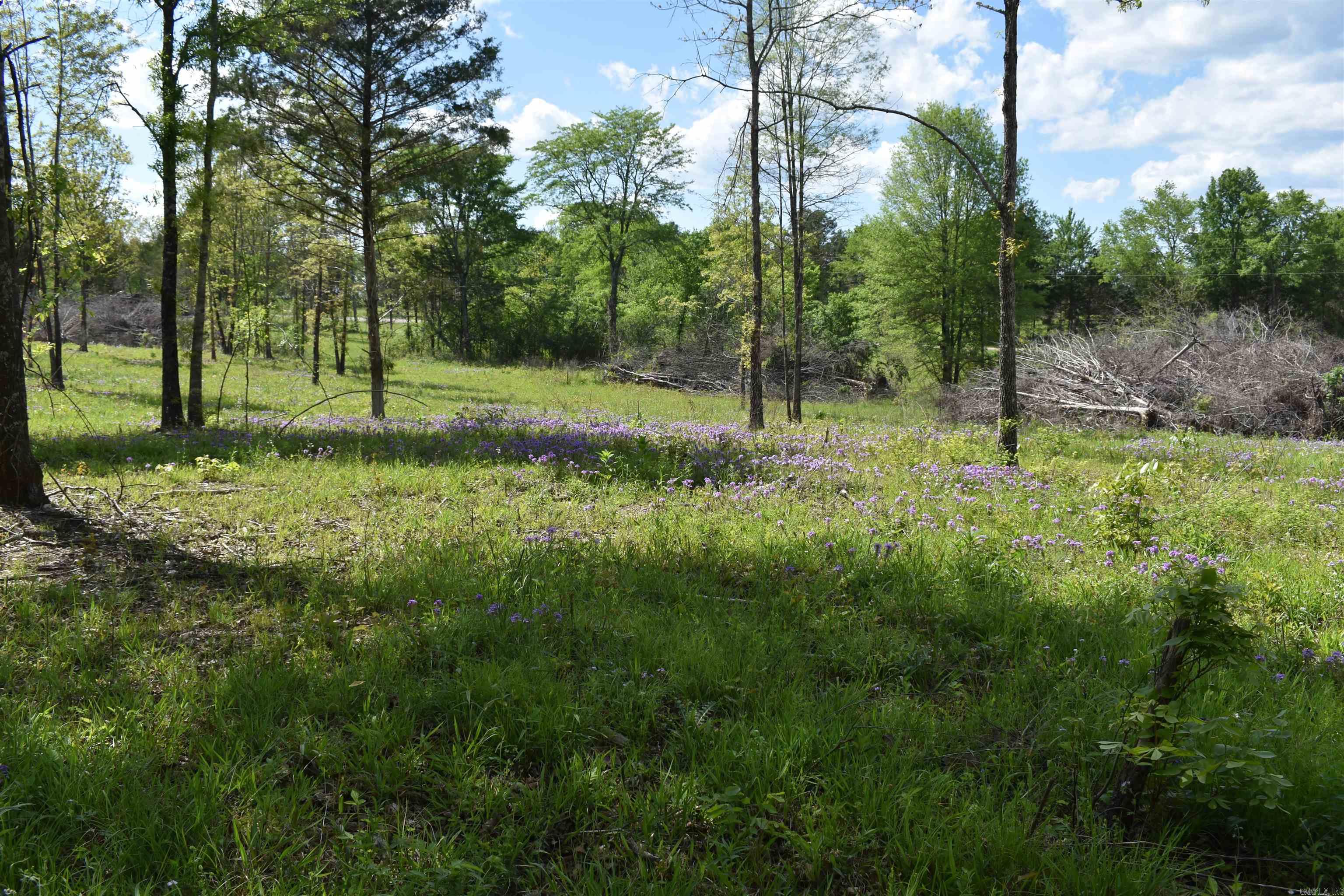 0000  Highway 88  Sims, AR