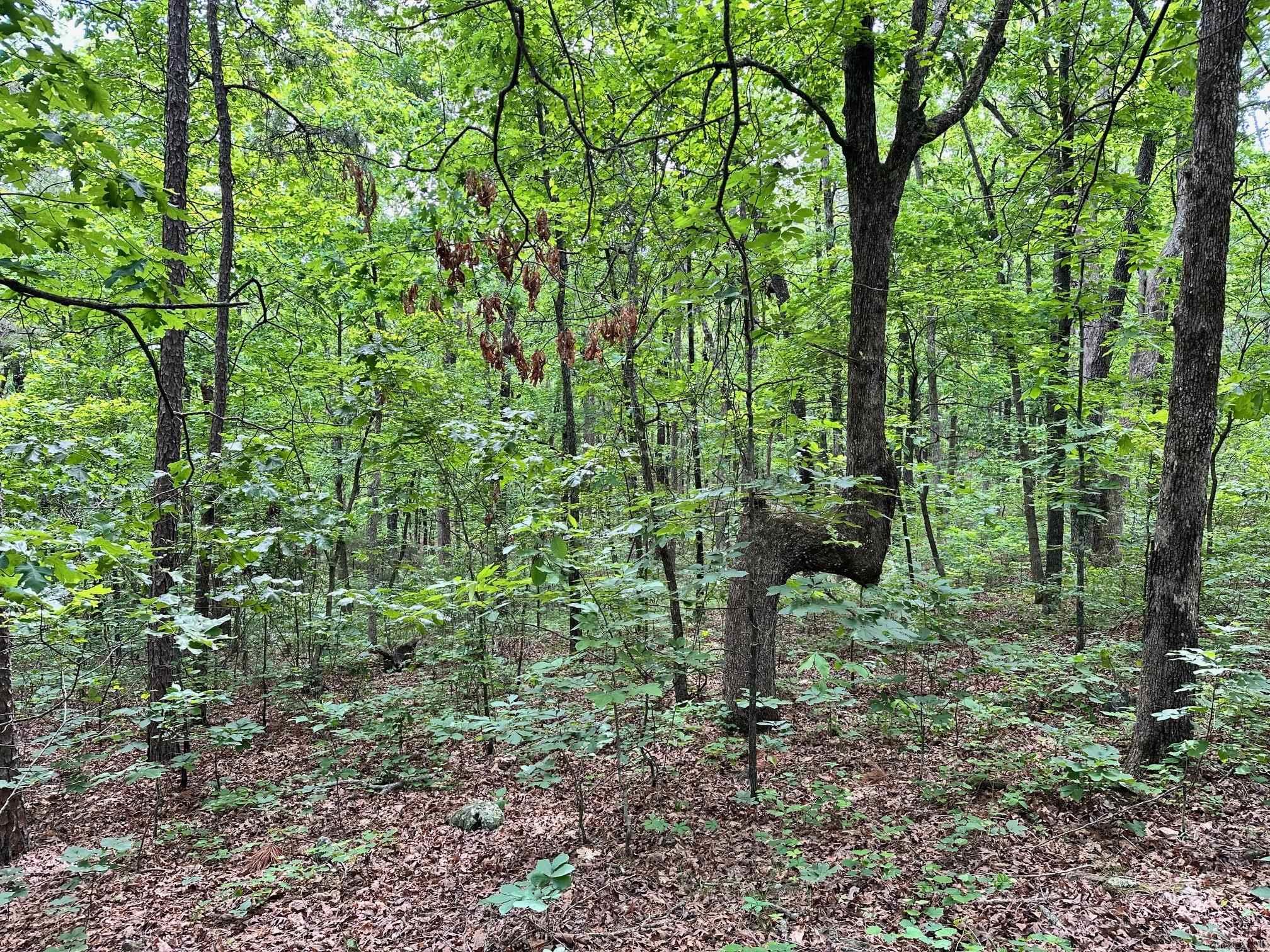 00 Pryor Mt. Road  Quitman, AR