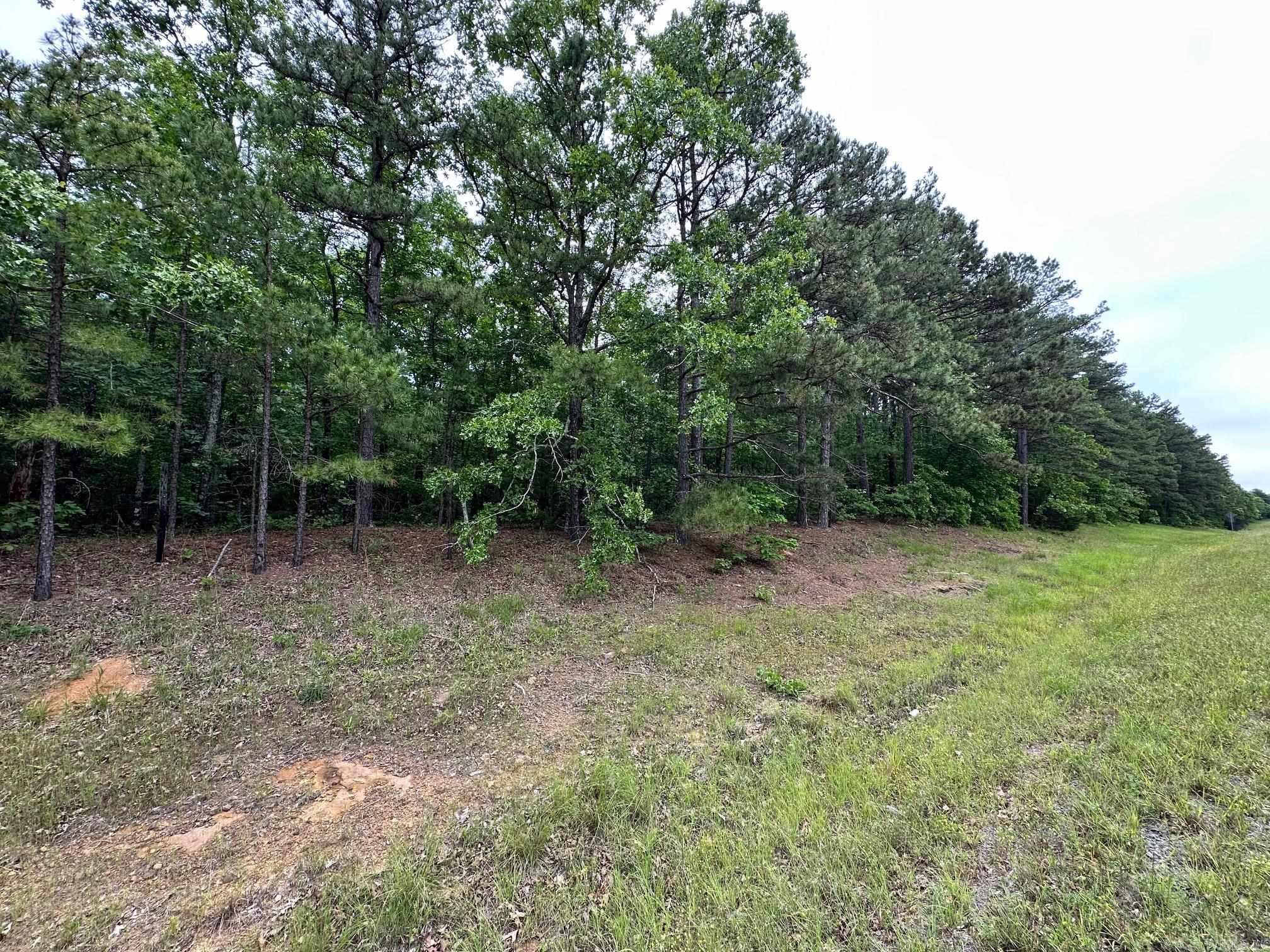 00 Pryor Mt. Road  Quitman, AR