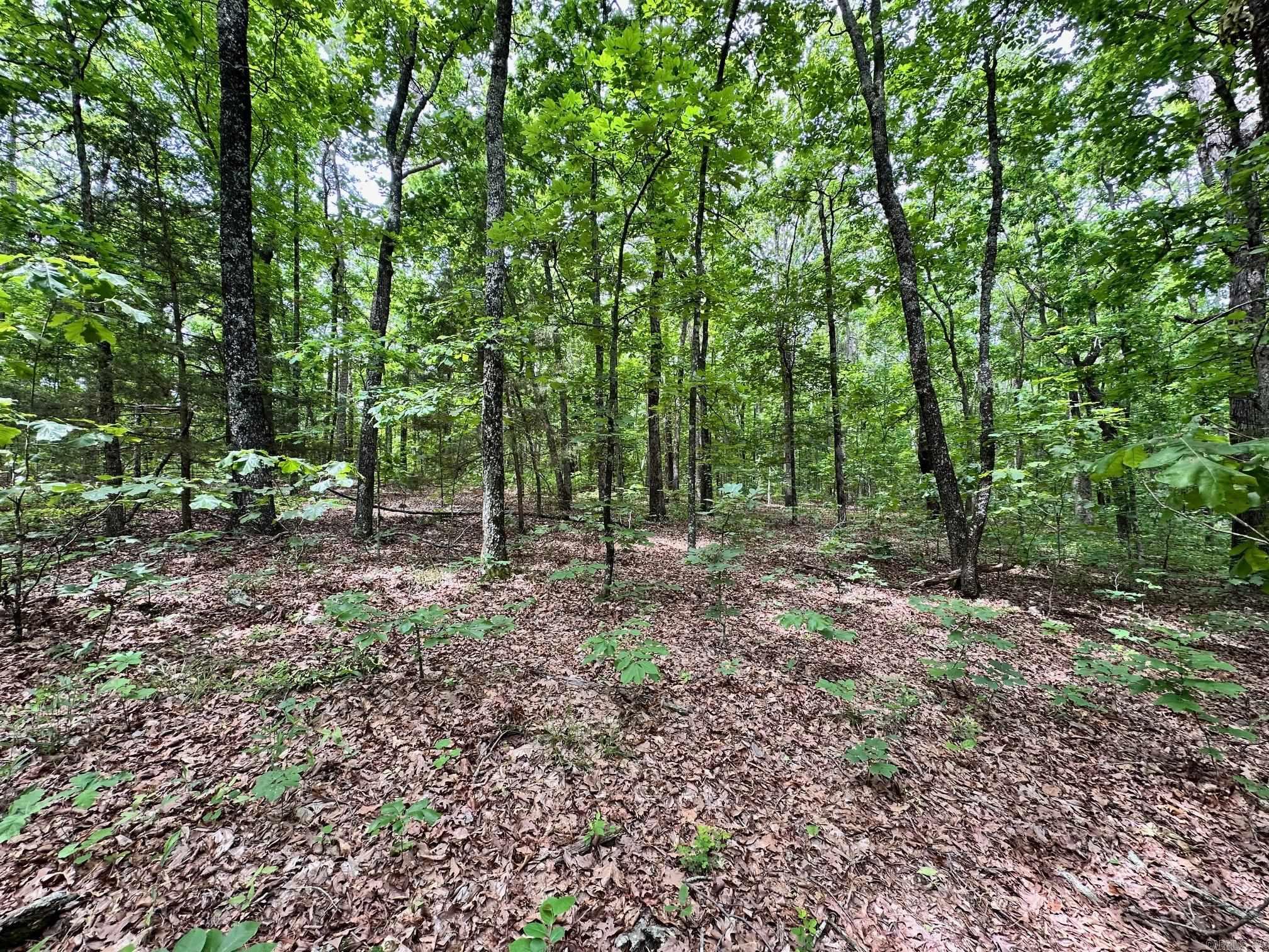 00 Pryor Mt. Road  Quitman, AR