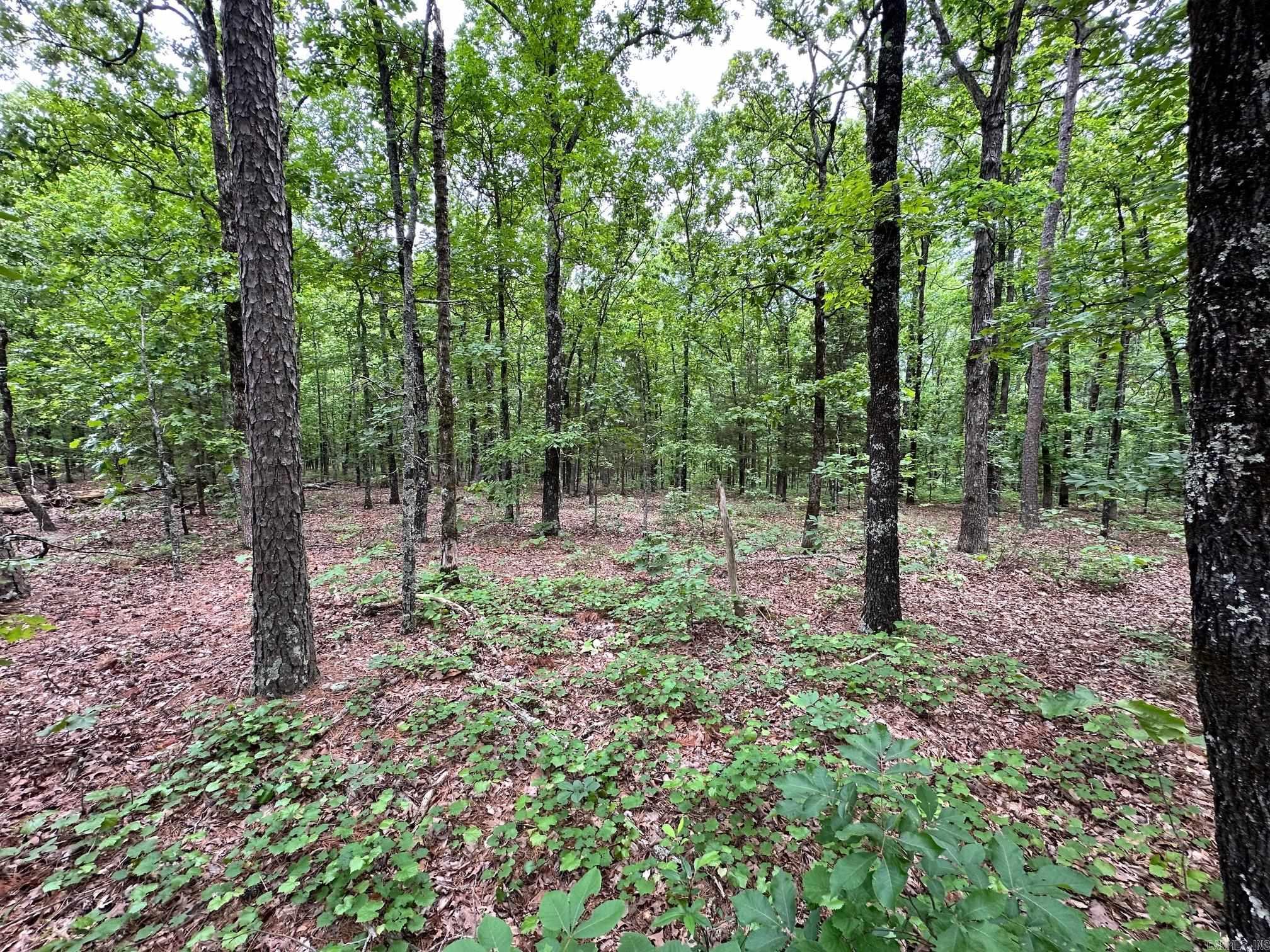 00 Pryor Mt. Road  Quitman, AR