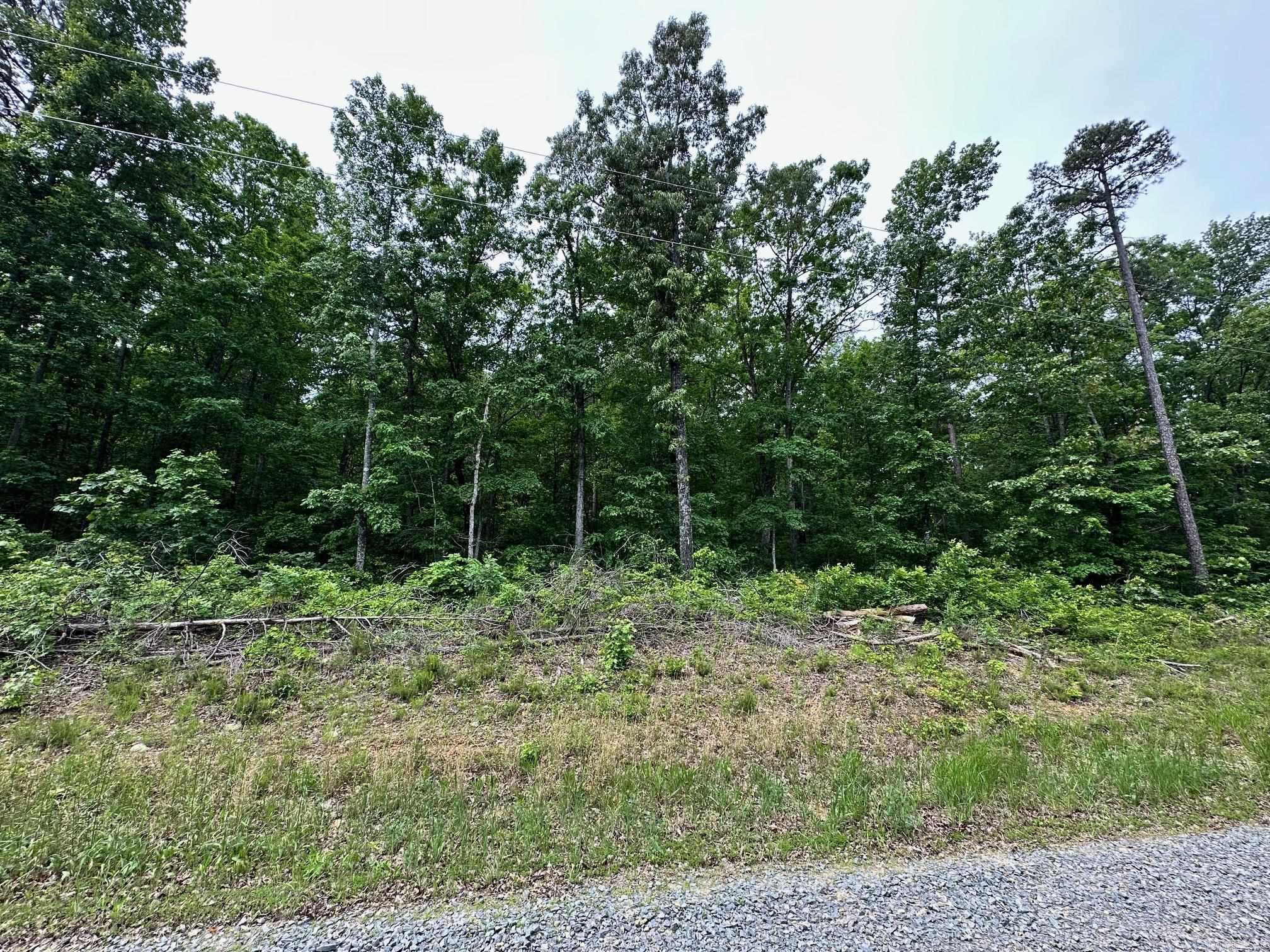 00 Pryor Mt. Road  Quitman, AR