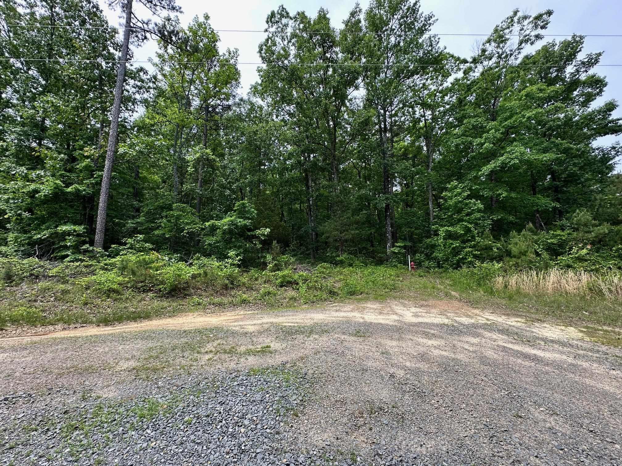 00 Pryor Mt. Road  Quitman, AR