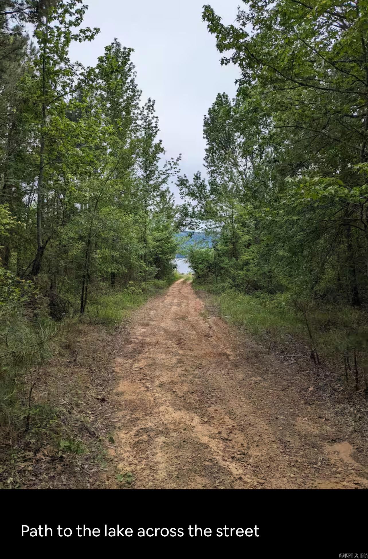 221  Skyline Dr.  Greers Ferry, AR