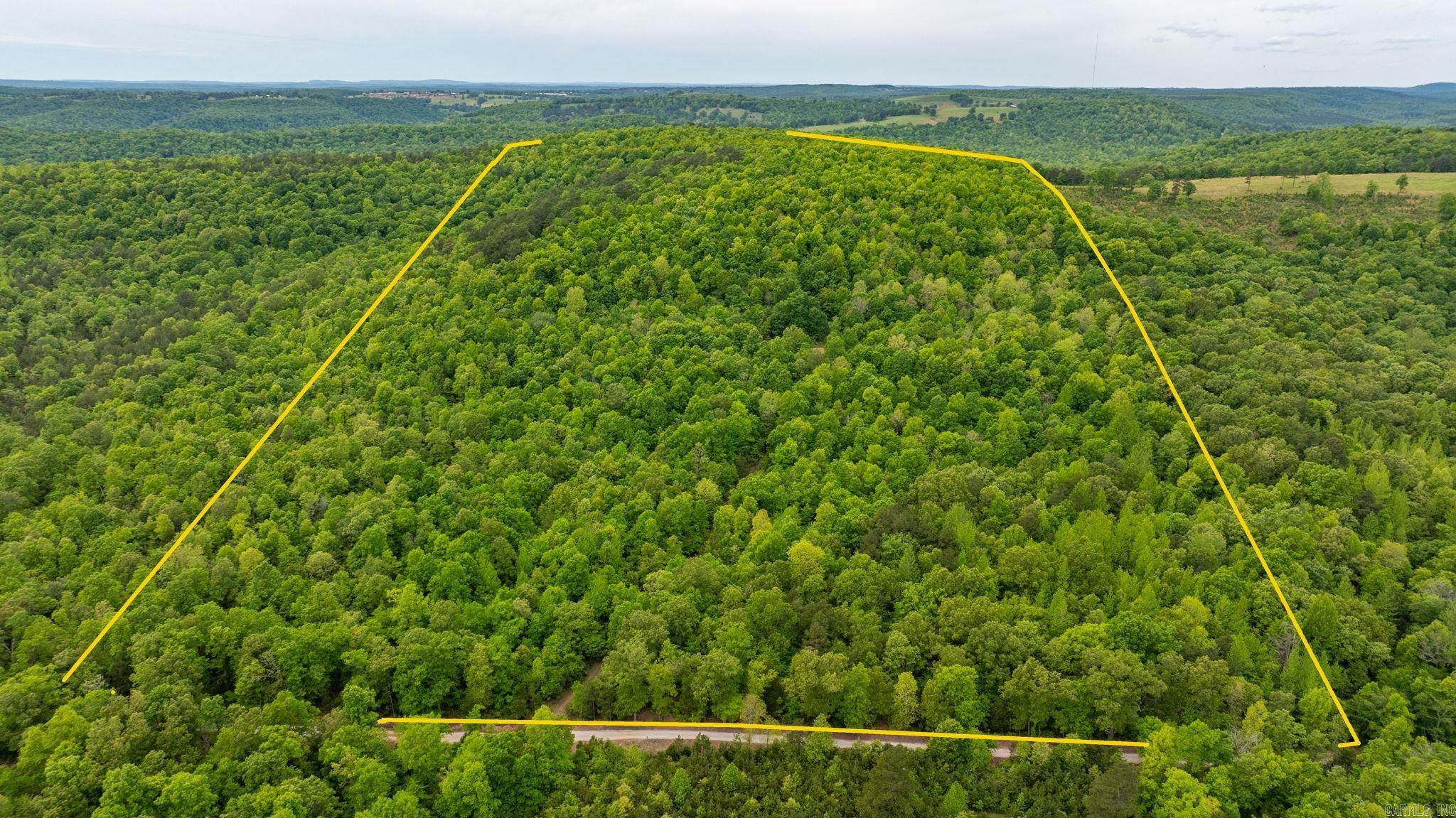1505  Brushy Creek  Mountain View, AR