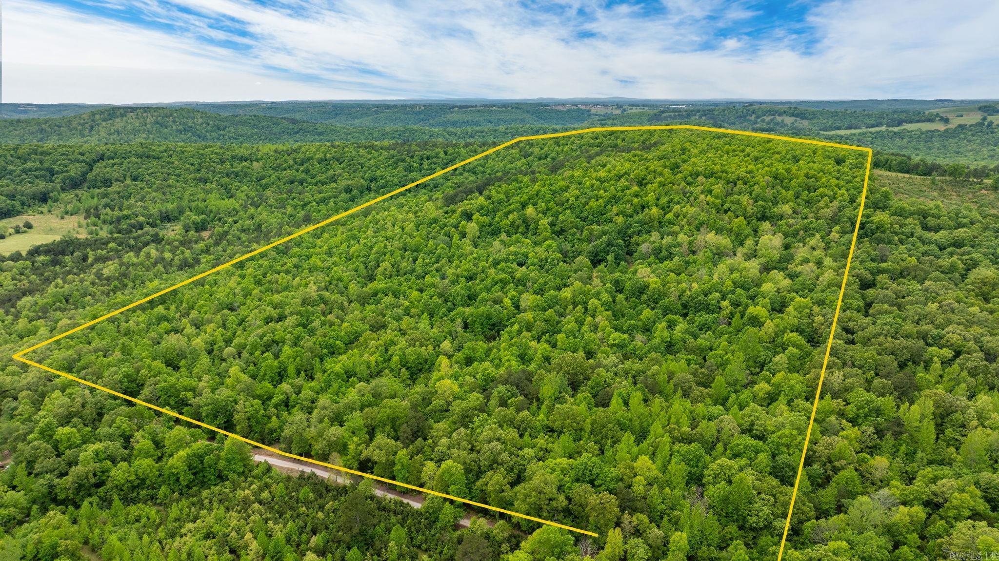 1505  Brushy Creek  Mountain View, AR
